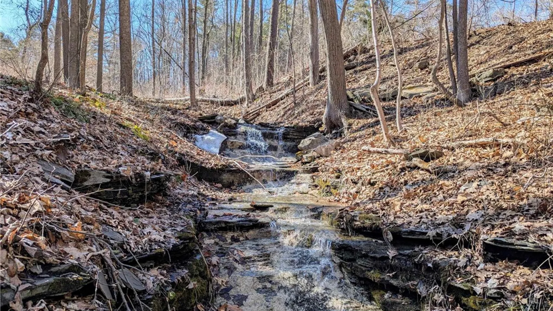 Property at Elmira Road, Newfield, NY 14867 11