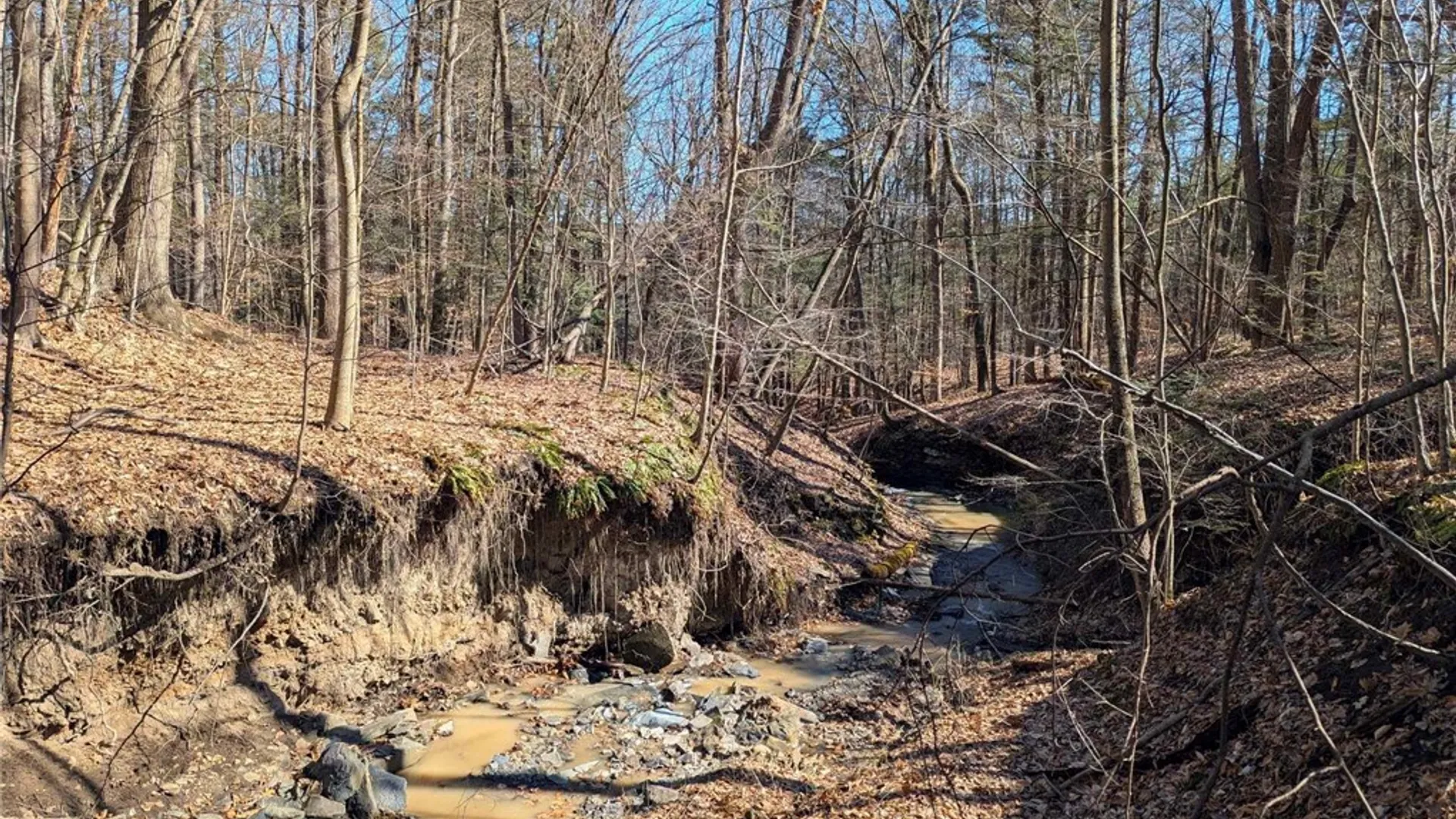 Property at Elmira Road, Newfield, NY 14867 12