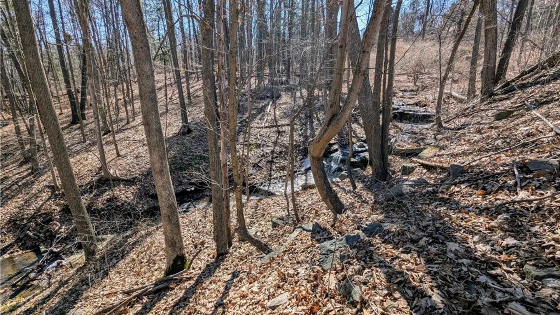Property at Elmira Road, Newfield, NY 14867 13