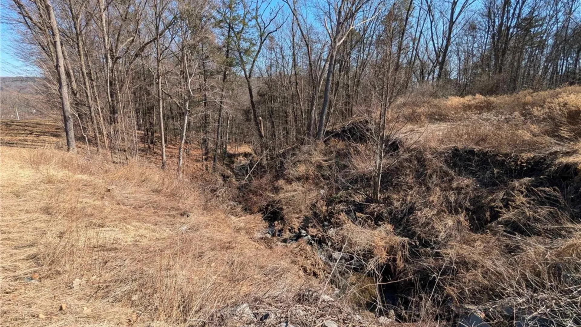 Property at Elmira Road, Newfield, NY 14867 15