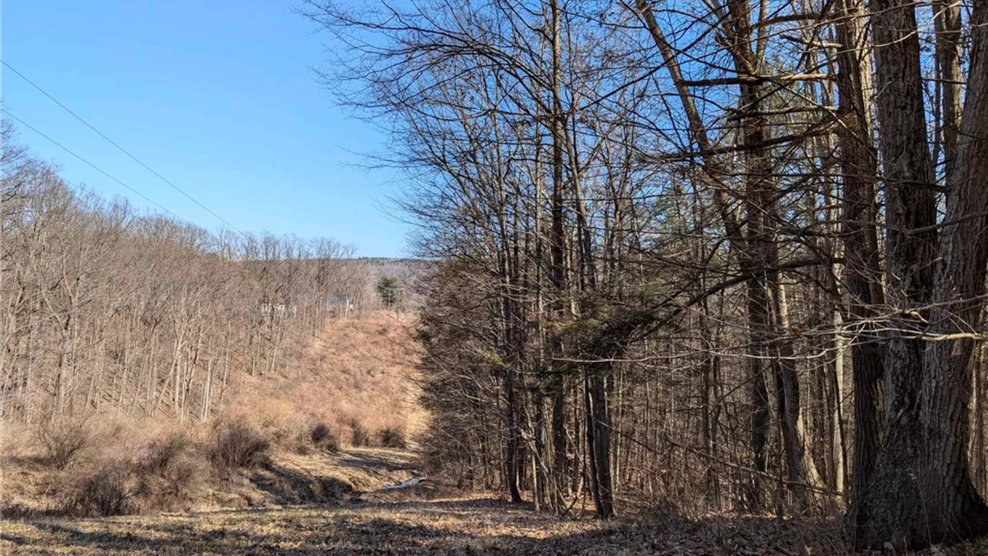 Property at Elmira Road, Newfield, NY 14867 16