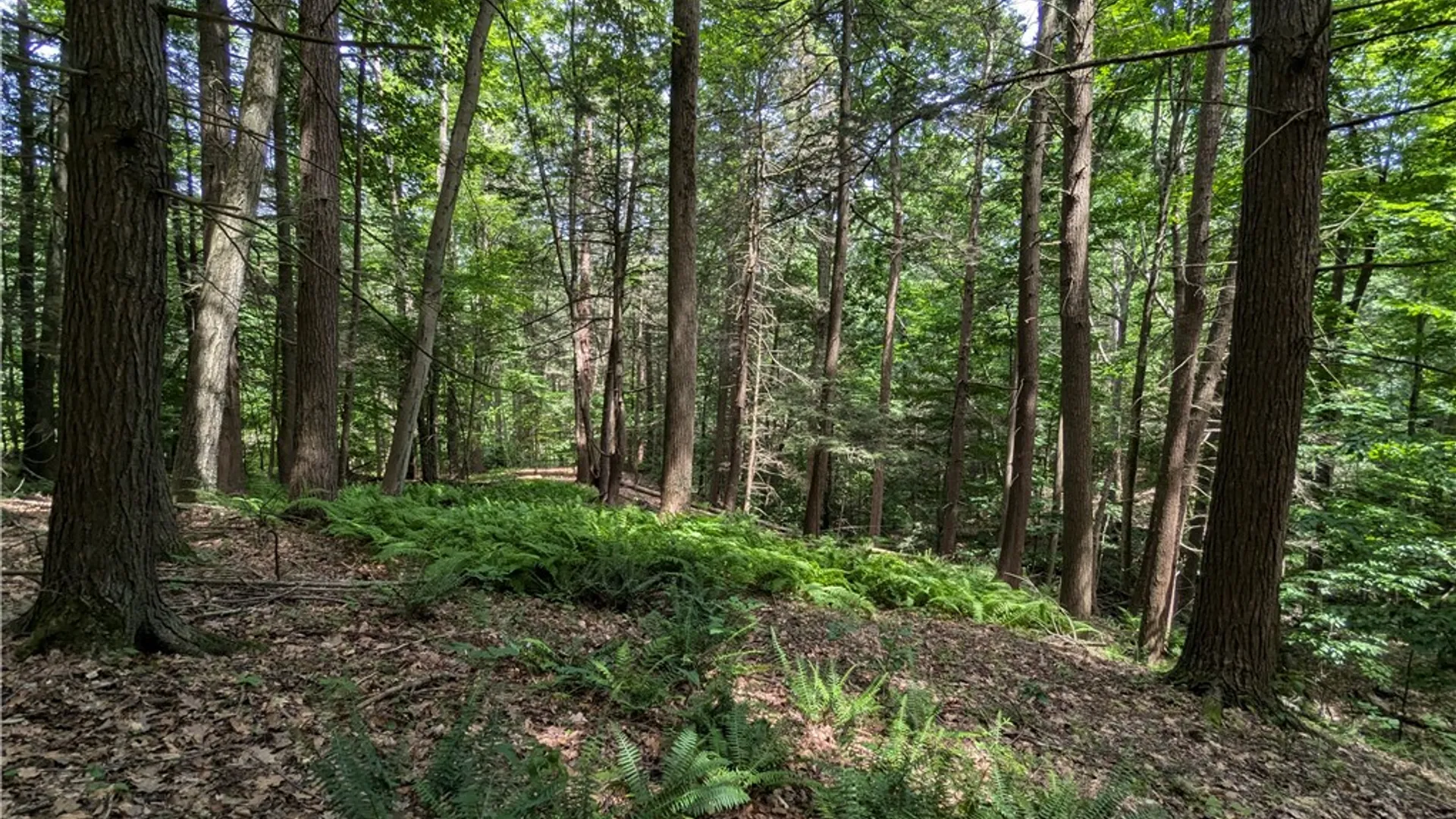 Property at Elmira Road, Newfield, NY 14867 20