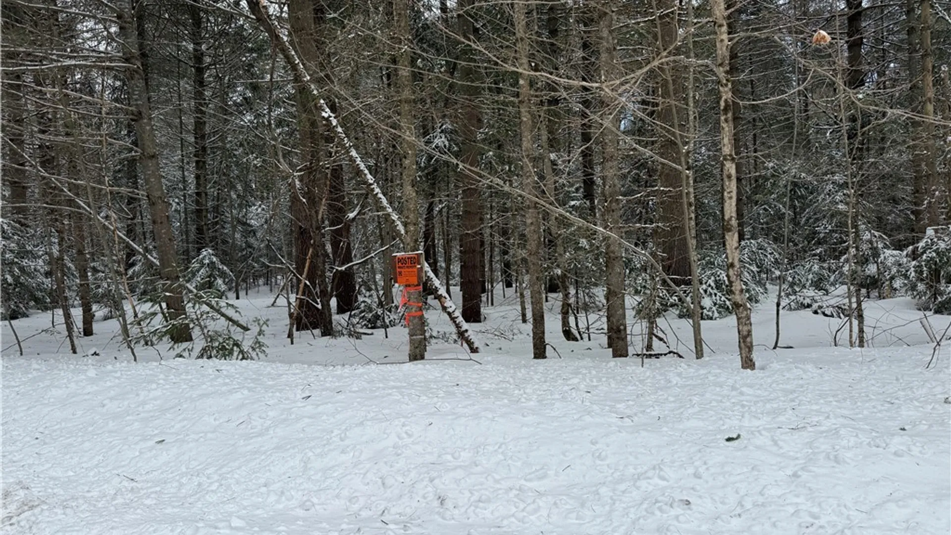 Property at Lot #2 Roberts Road, Remsen, NY 13438 4