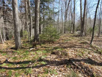 Property at State Route 28, Webb, NY 13420