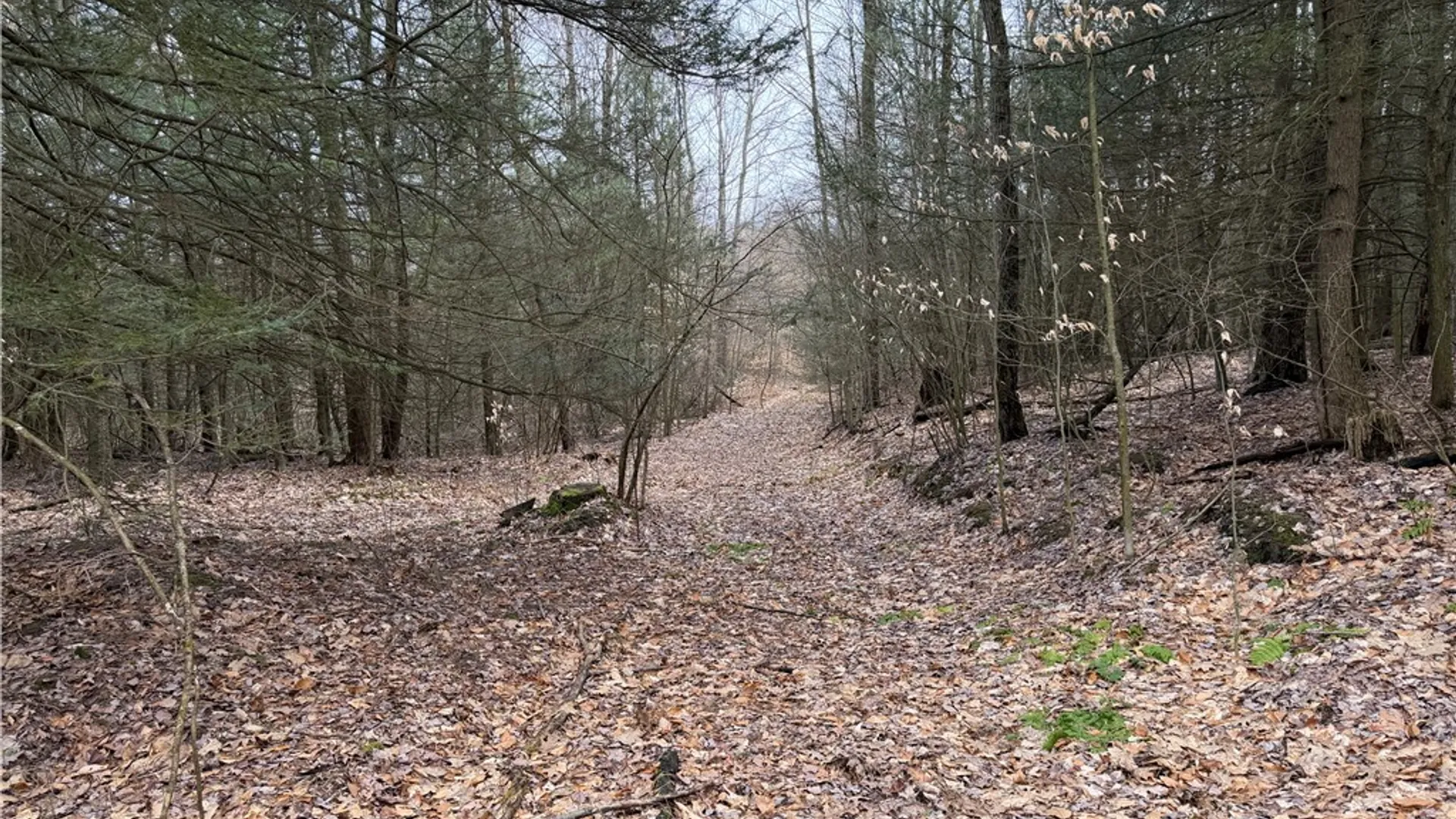 Property at Buffalo Street, Wayland, NY 14572 10