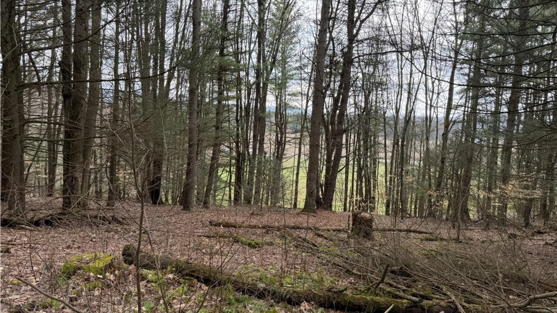 Property at Buffalo Street, Wayland, NY 14572 12