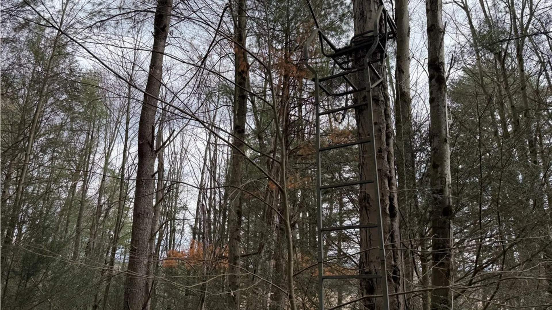 Property at Buffalo Street, Wayland, NY 14572 13
