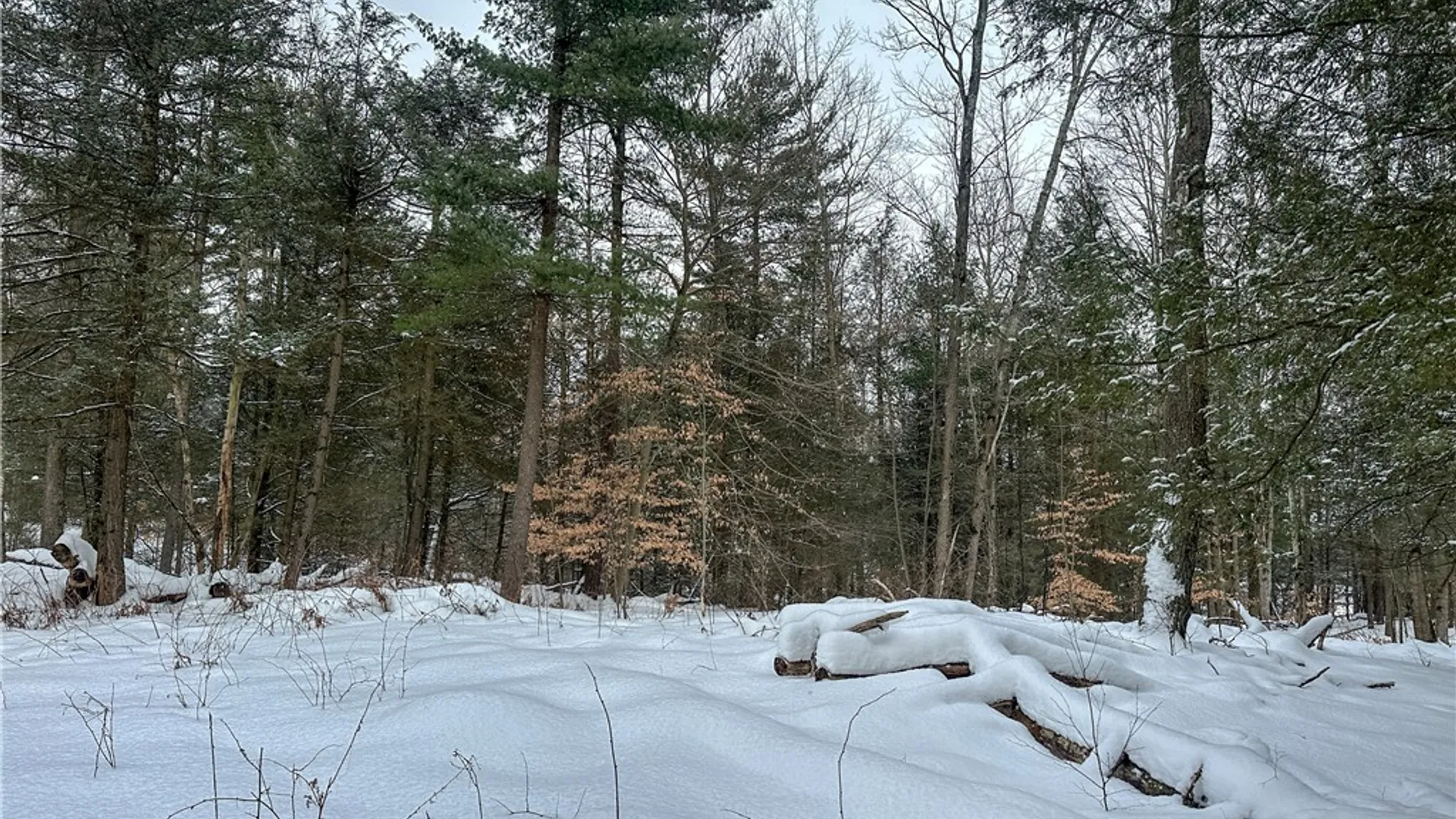 Property at Buffalo Street, Wayland, NY 14572 35