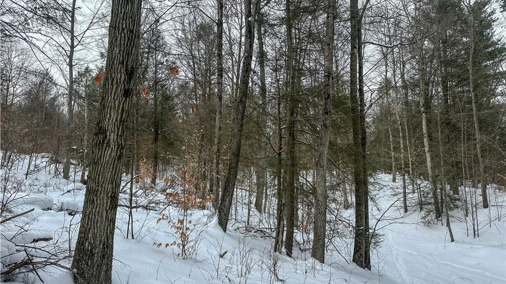 Property at Buffalo Street, Wayland, NY 14572 36