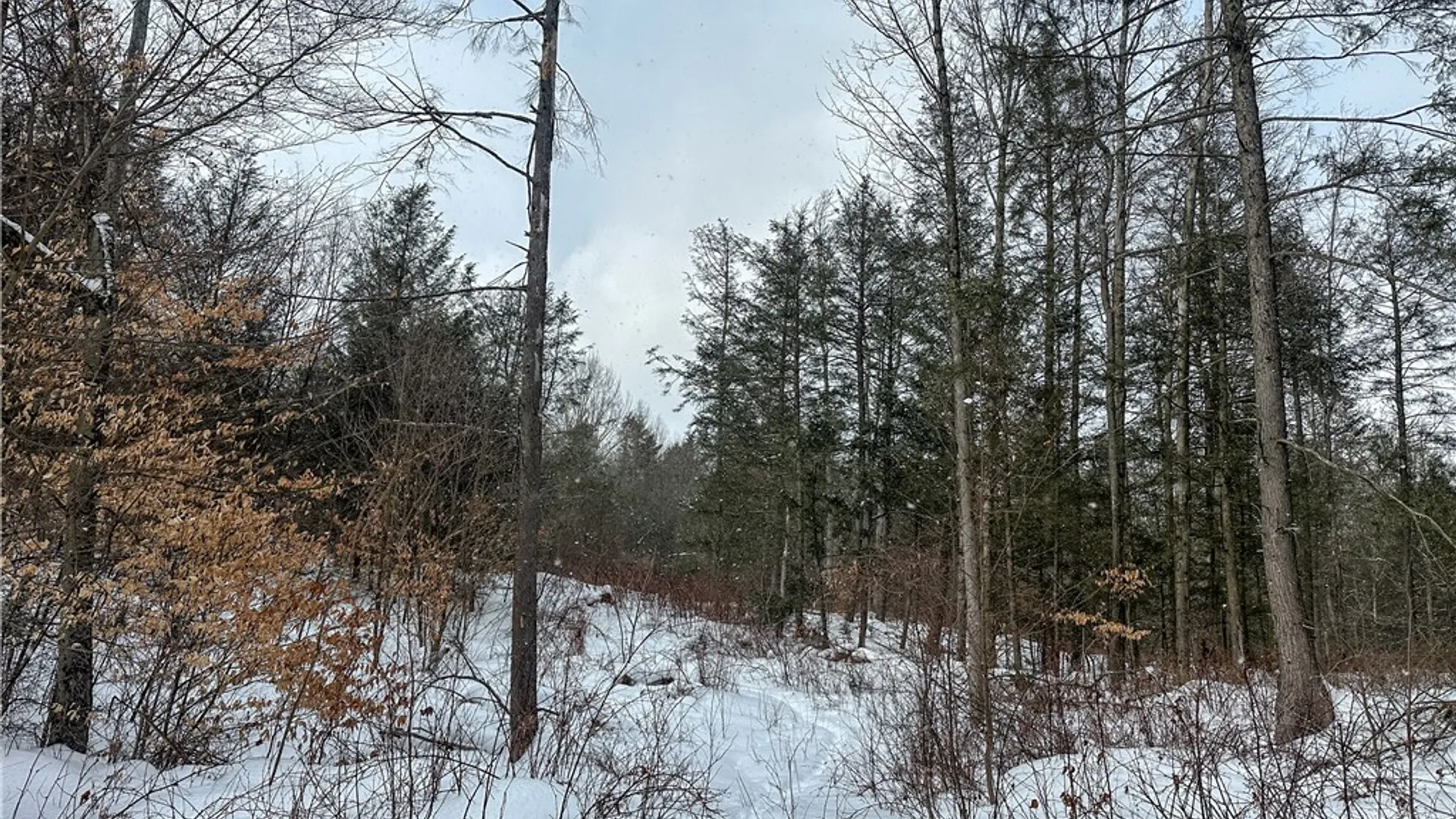 Property at Buffalo Street, Wayland, NY 14572 38