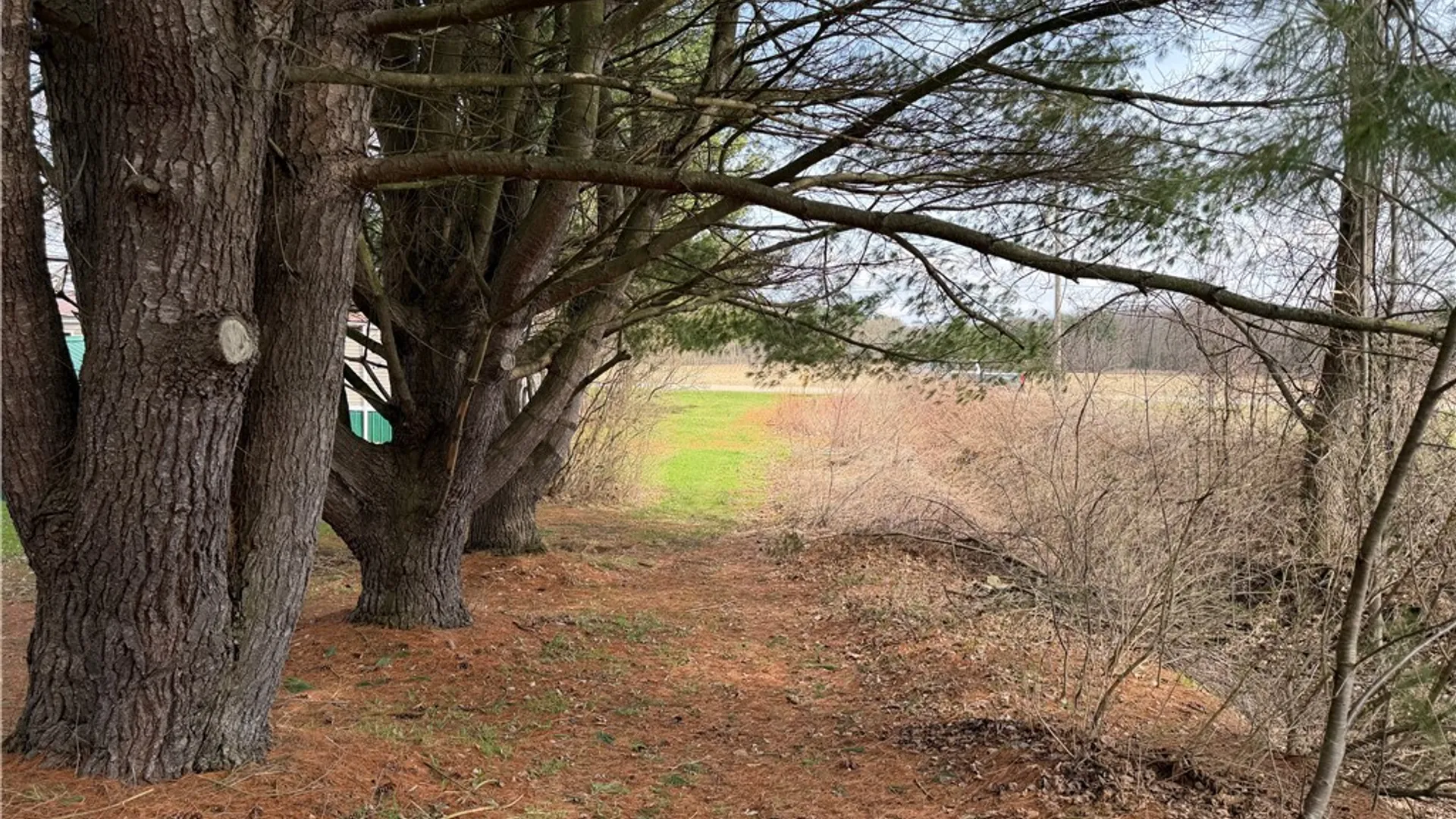 Property at Buffalo Street, Wayland, NY 14572 4