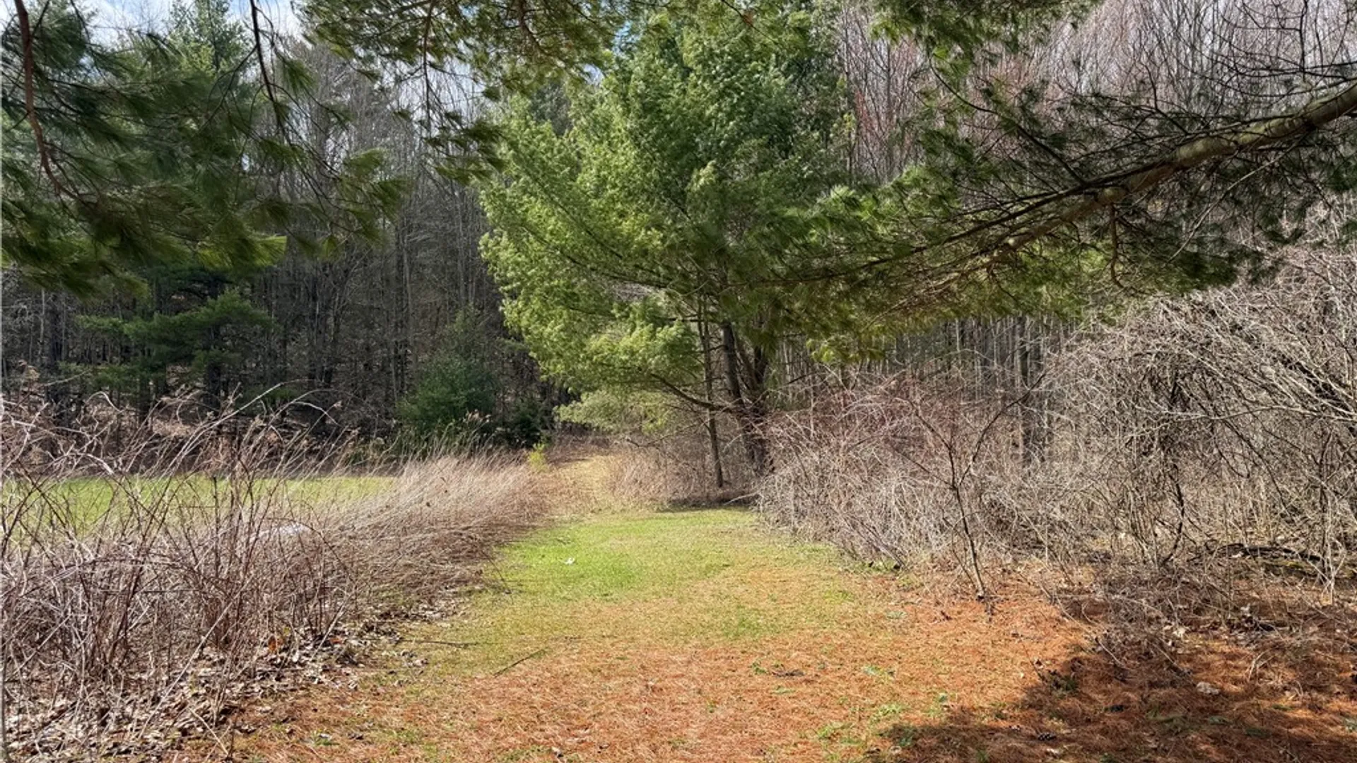 Property at Buffalo Street, Wayland, NY 14572 5