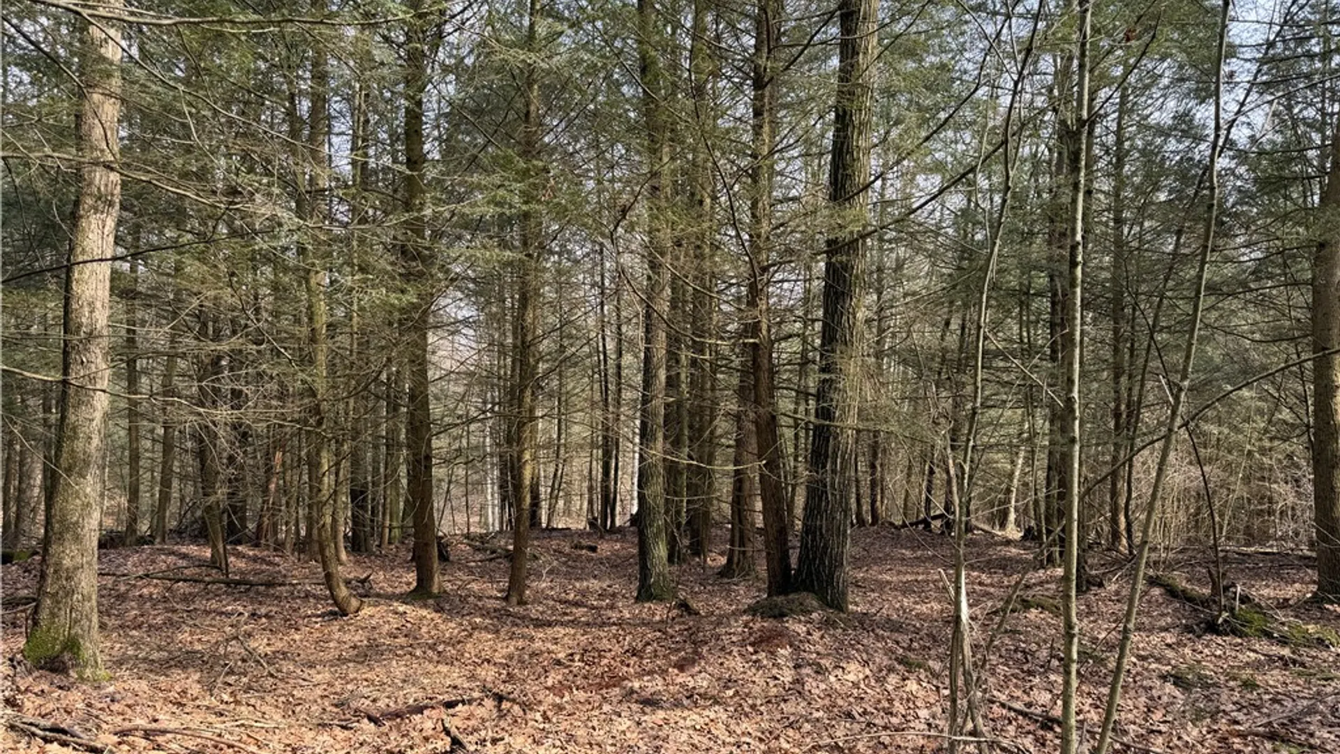 Property at Buffalo Street, Wayland, NY 14572 7
