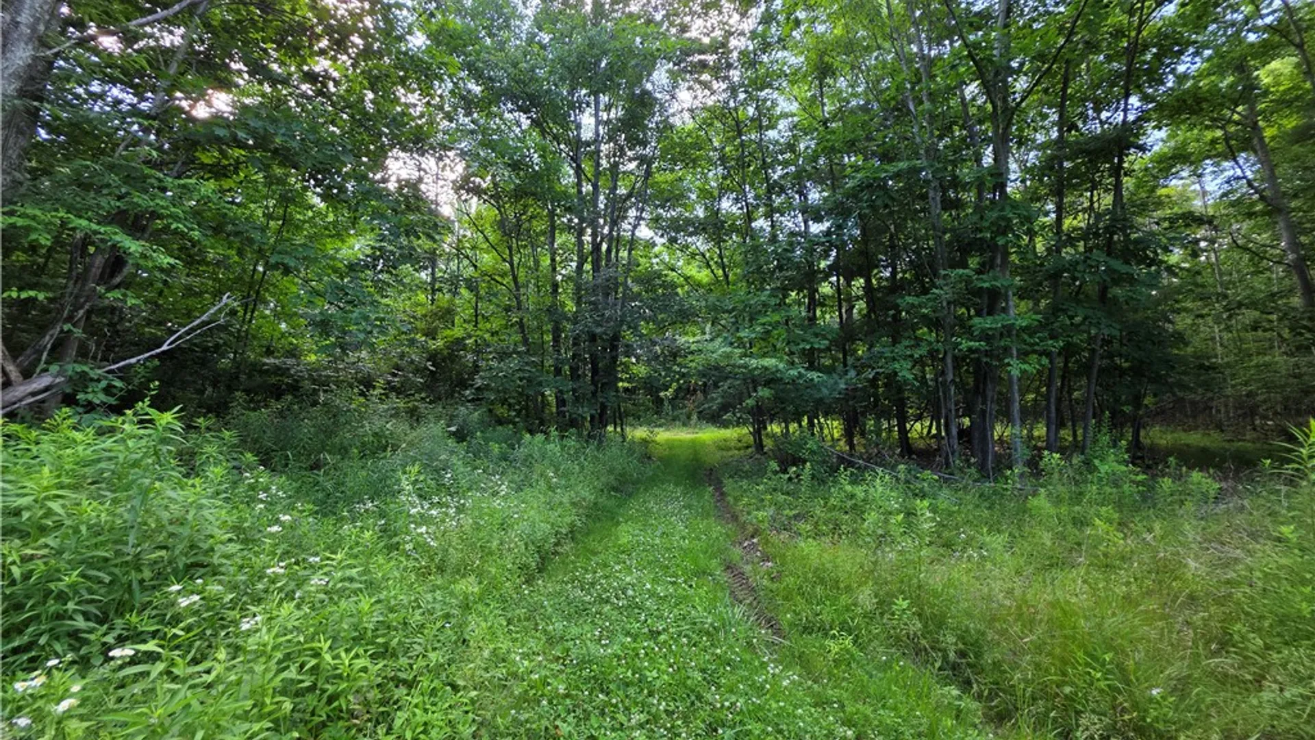 Property at 4679 Cook Road, Woodhull, NY 14898 47