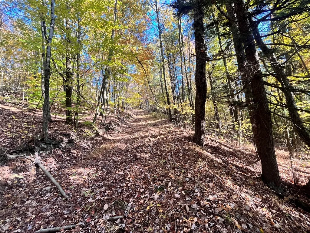 Property at State Route 34, Barton, NY 13734