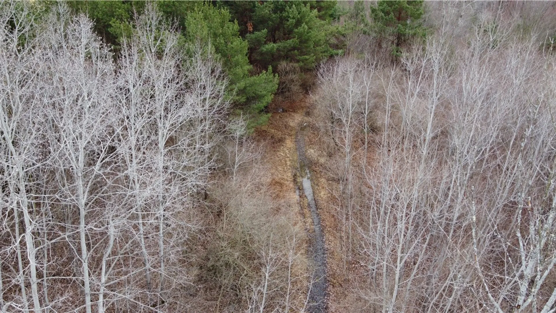 Property at Tyler Hollow Road, Spencer, NY 14883 4
