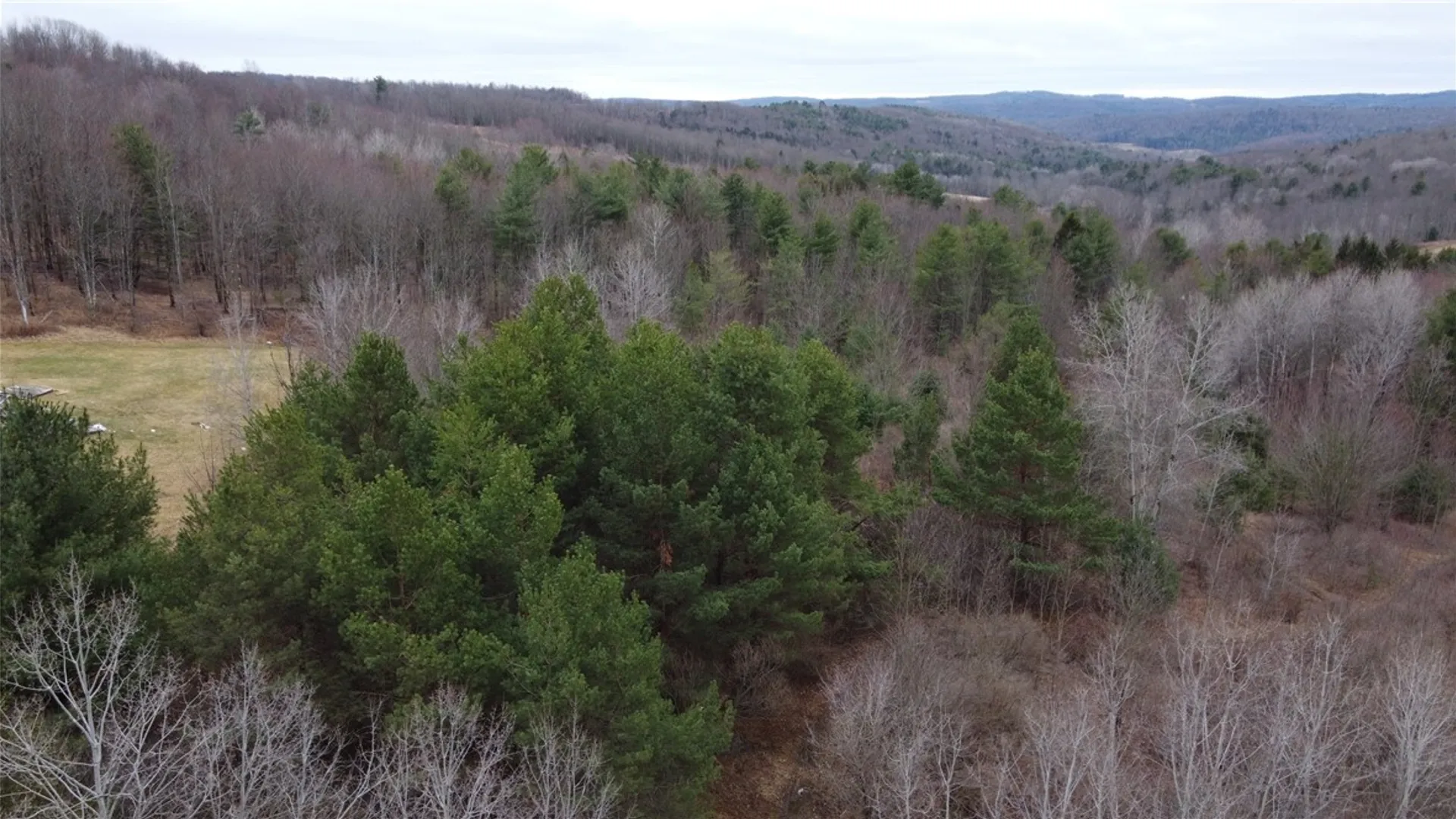 Property at Tyler Hollow Road, Spencer, NY 14883 7