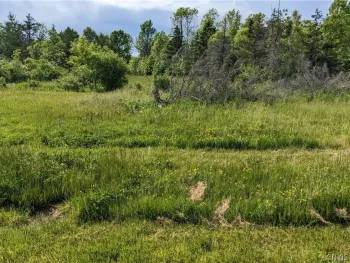 Property at Old Town Springs Road, Lyme, NY 13622