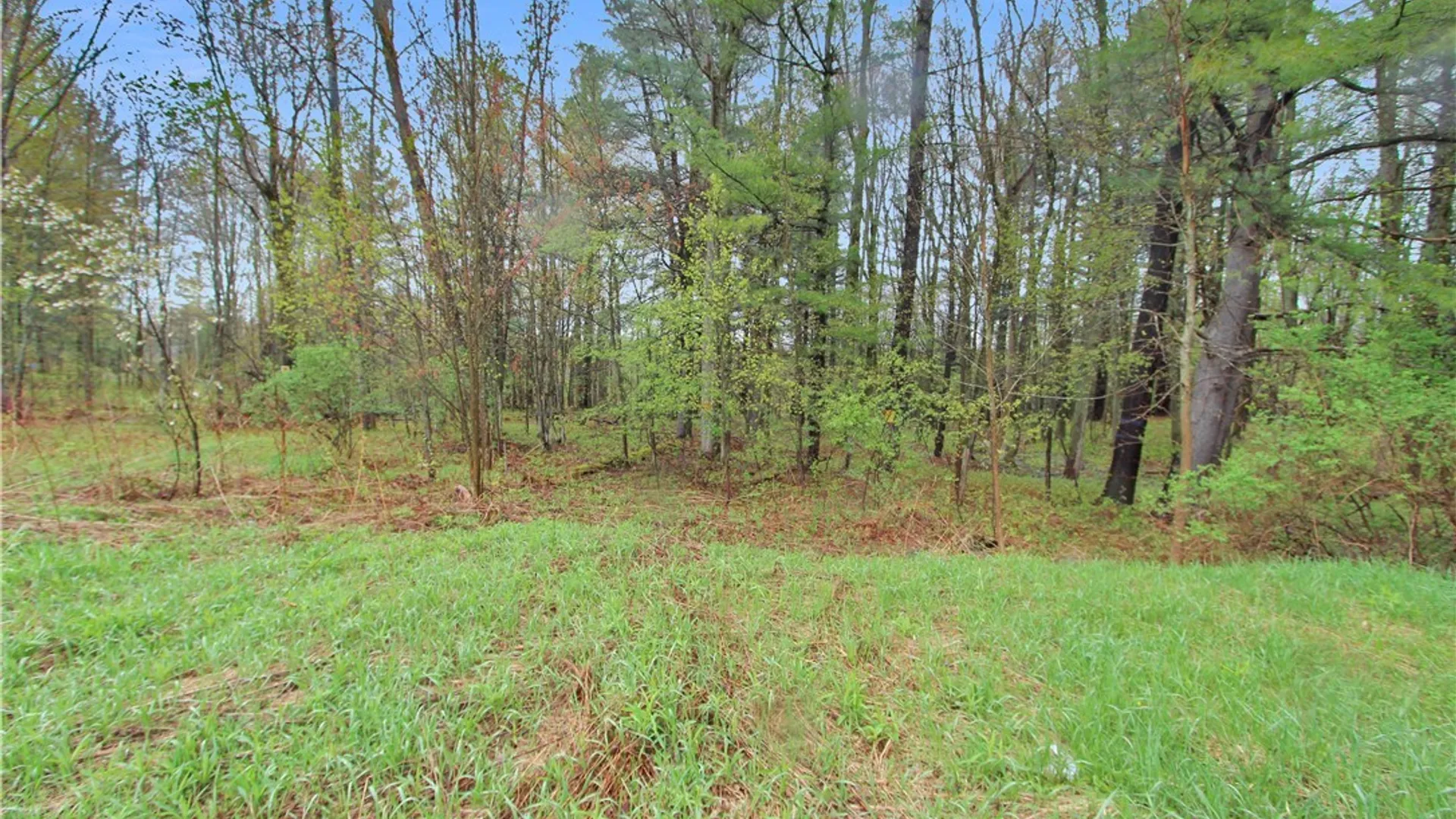 Property at 22387 County Route 42, Wilna, NY 13619 8