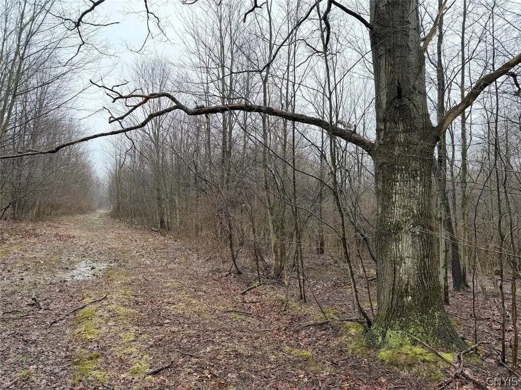 Property at Bliss Road, Portland, NY 14757