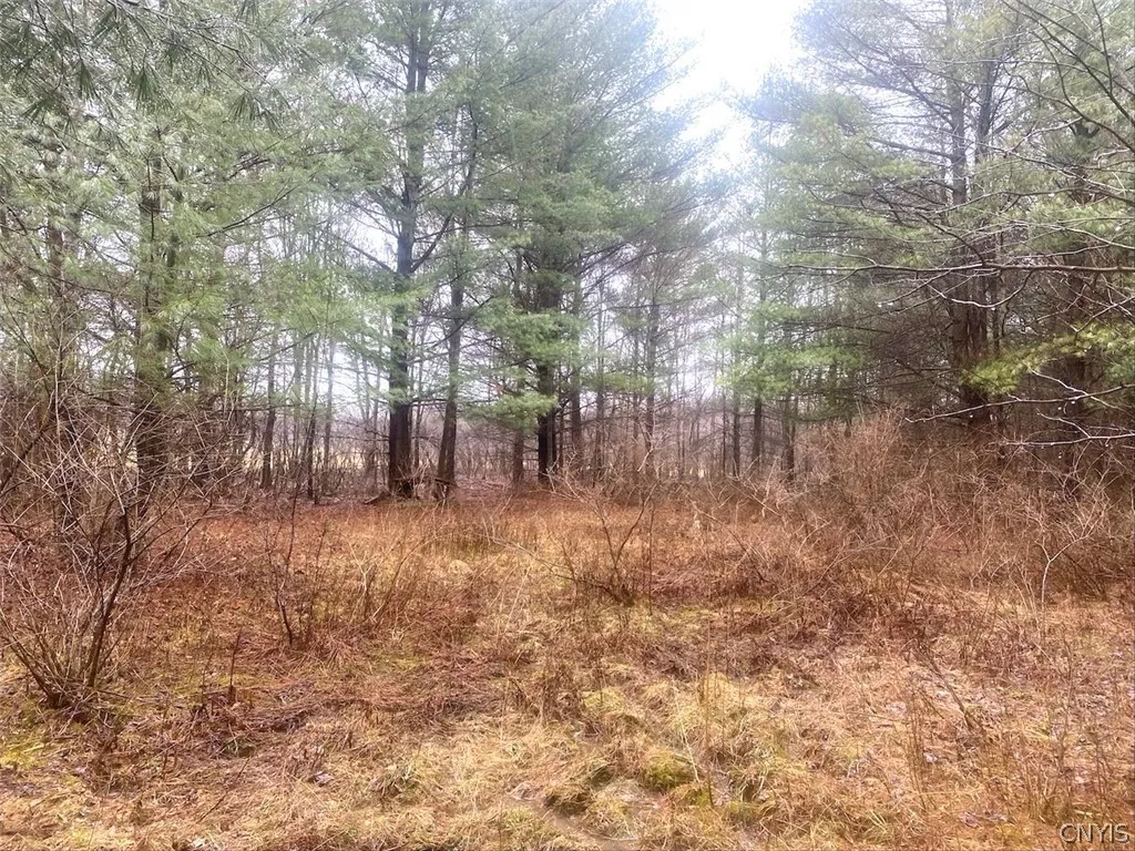 Property at 10138 Schuknecht Road, Hume, NY 14735