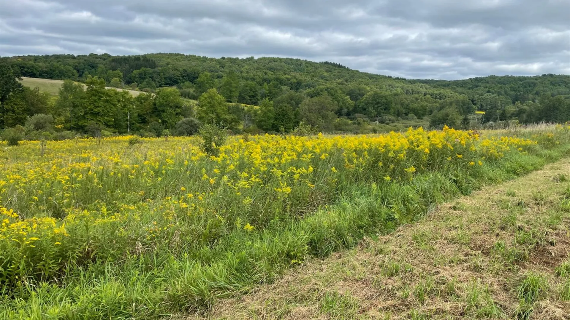 Property at 0 Co Hwy 16, Burlington, NY 13315 15