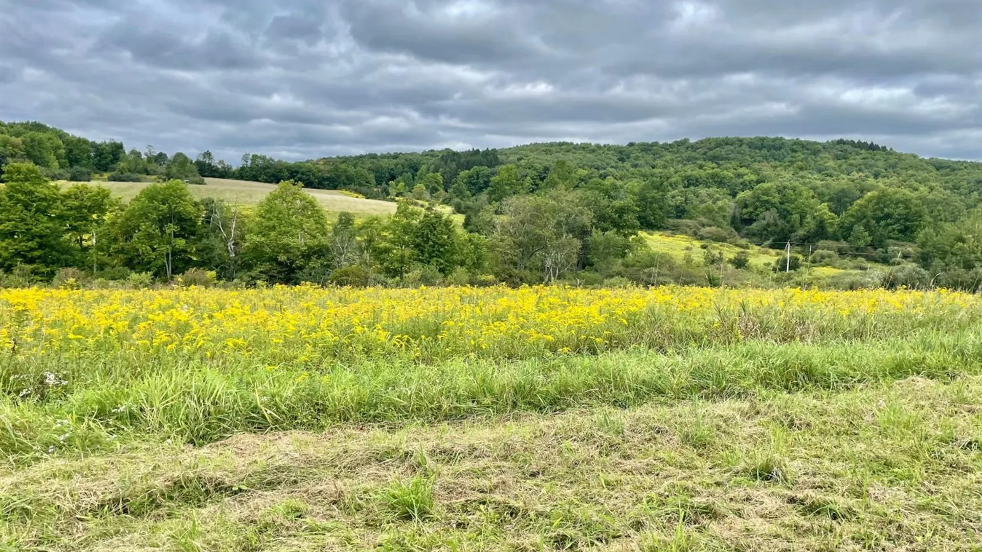 Property at 0 County Highway 16, Burlington, NY 13315 16