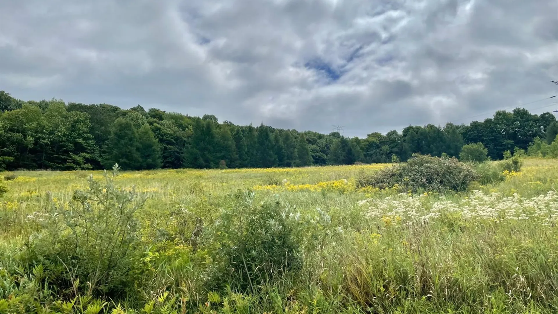 Property at 0 Co Hwy 16, Burlington, NY 13315 17