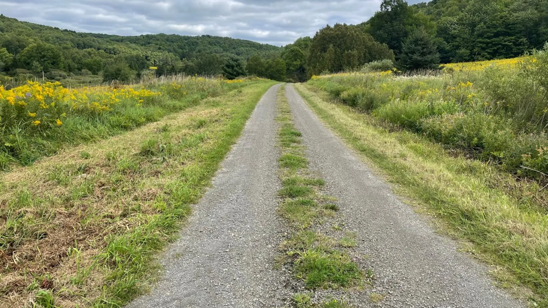 Property at 0 Co Hwy 16, Burlington, NY 13315 19