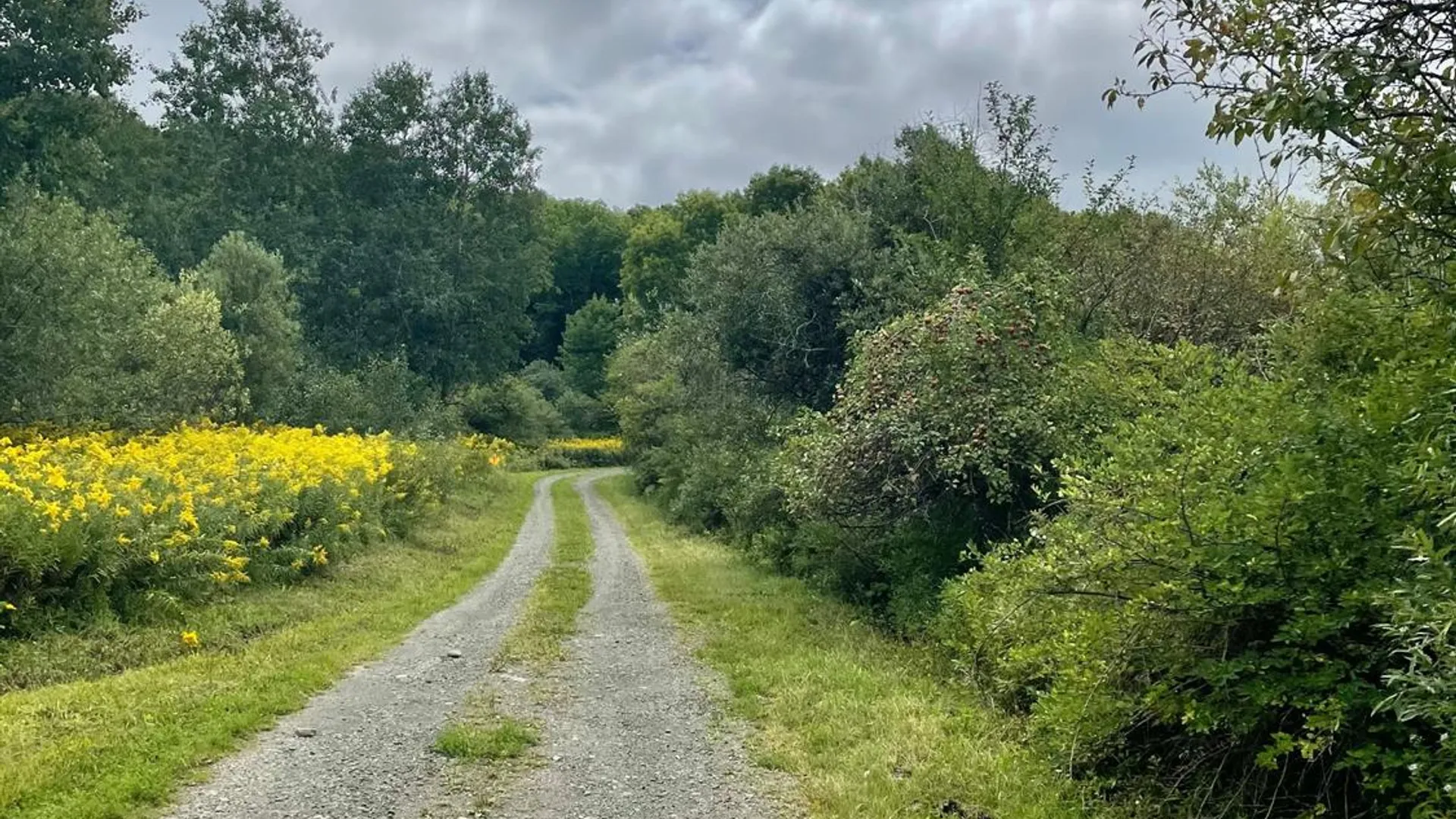 Property at 0 Co Hwy 16, Burlington, NY 13315 21