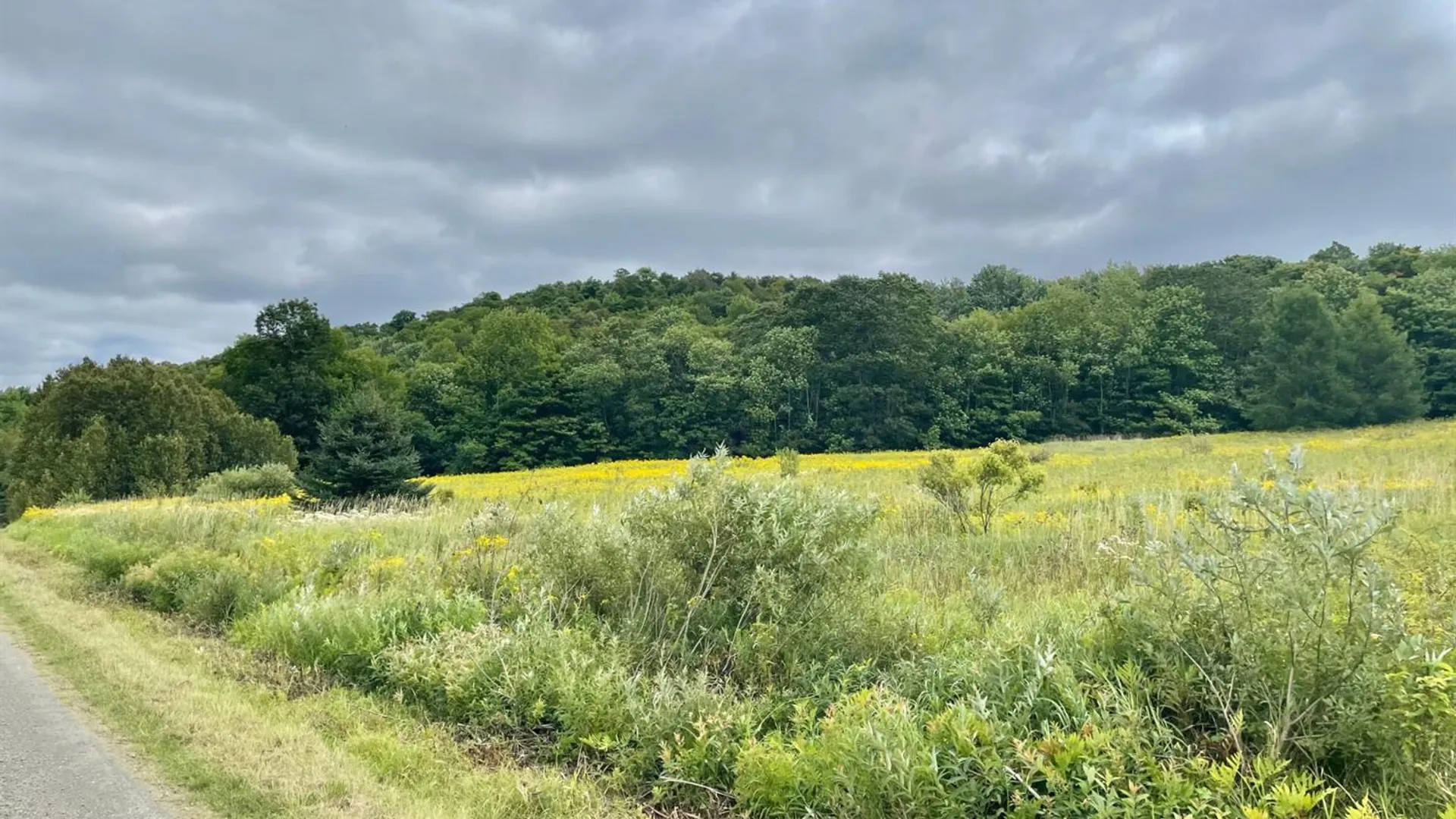 Property at 0 Co Hwy 16, Burlington, NY 13315 24