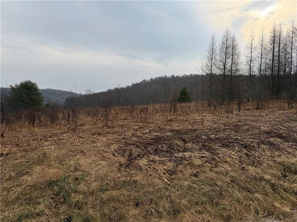 Property at 0 Co Hwy 16, Burlington, NY 13315