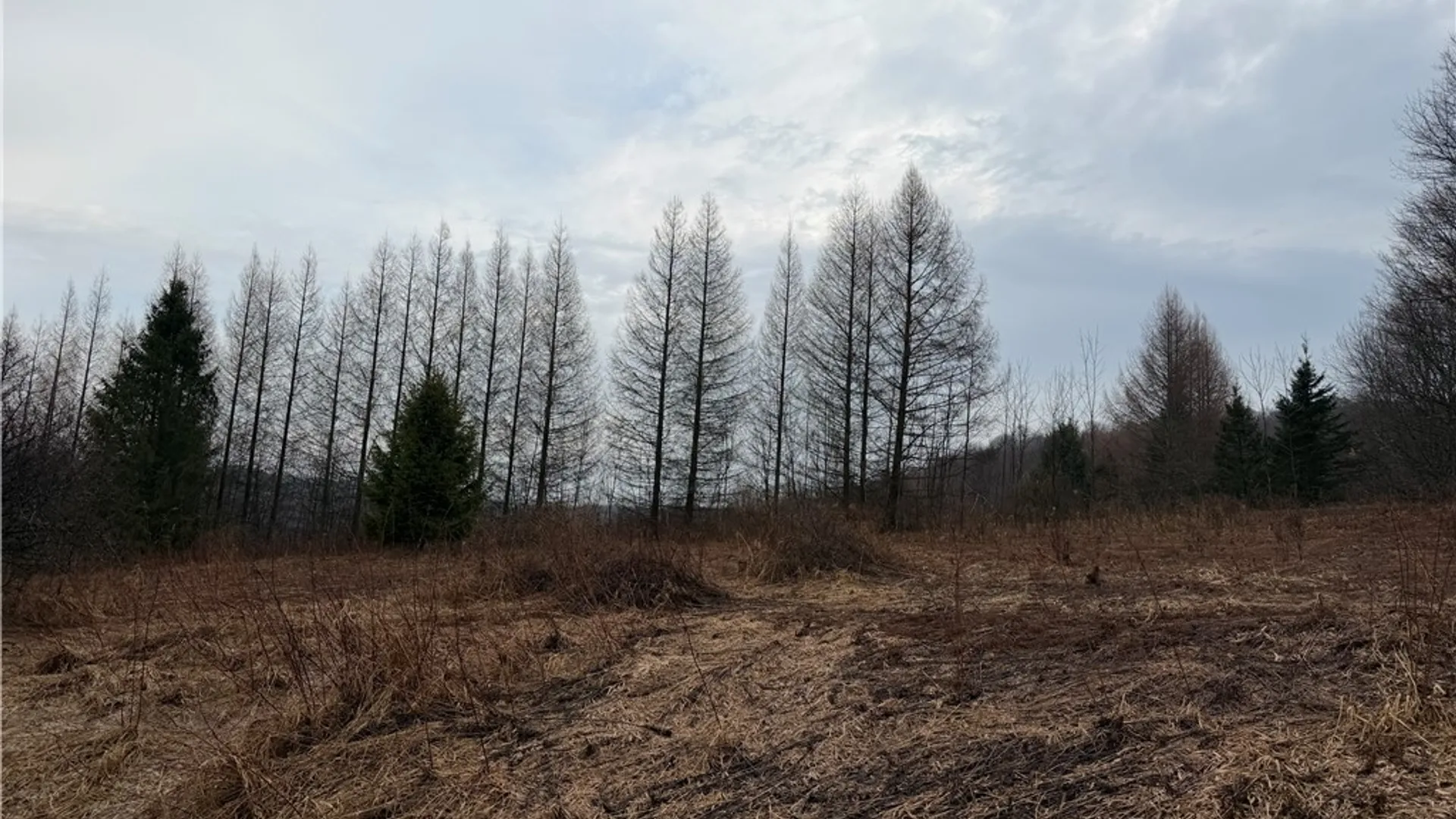 Property at 0 Co Hwy 16, Burlington, NY 13315 11