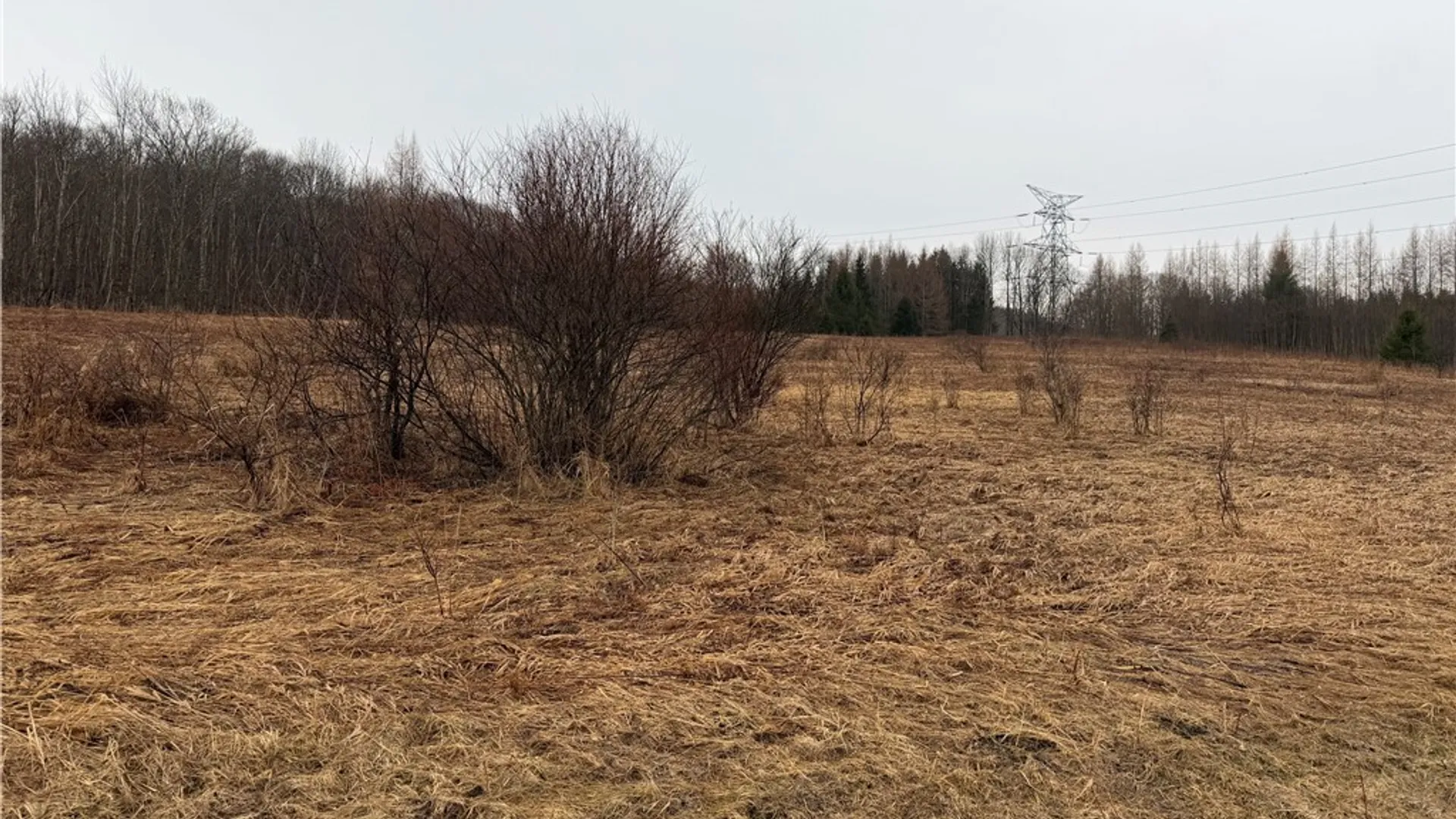 Property at 0 Co Hwy 16, Burlington, NY 13315 8