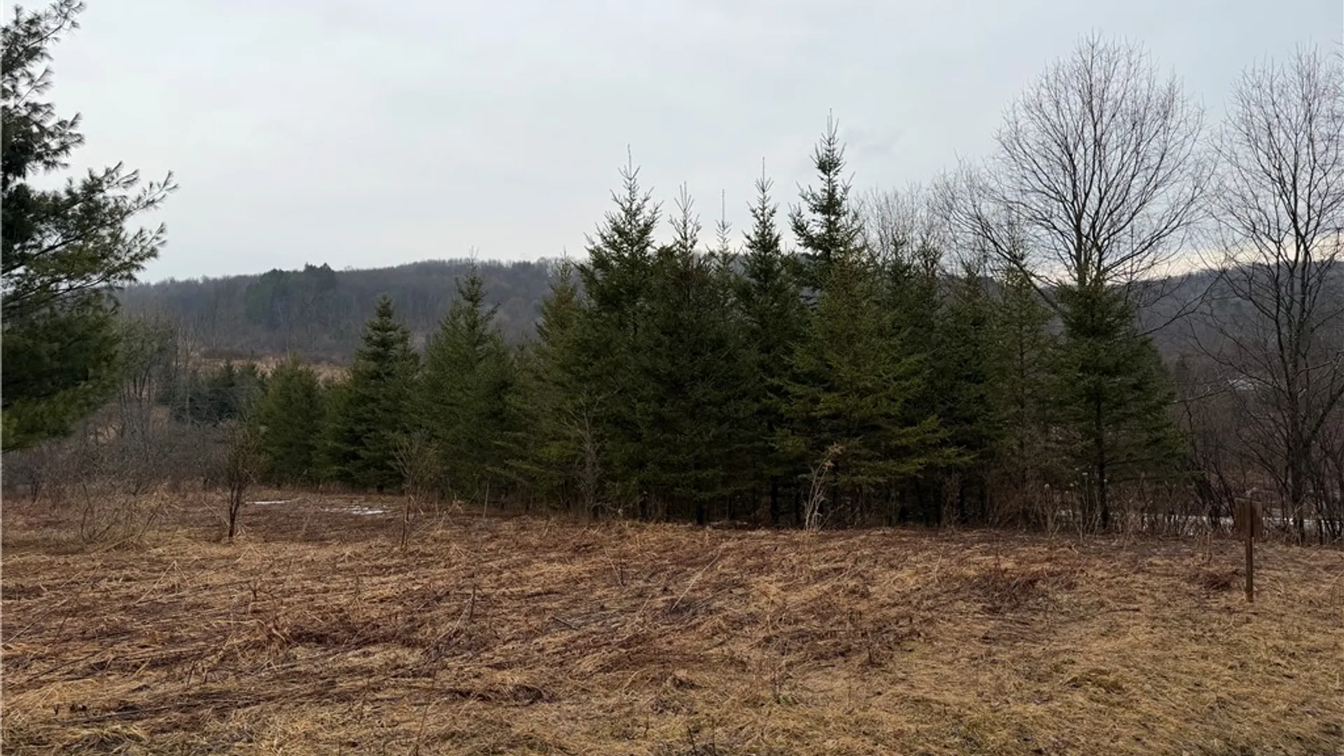 Property at 0 County Highway 16, Burlington, NY 13315 7