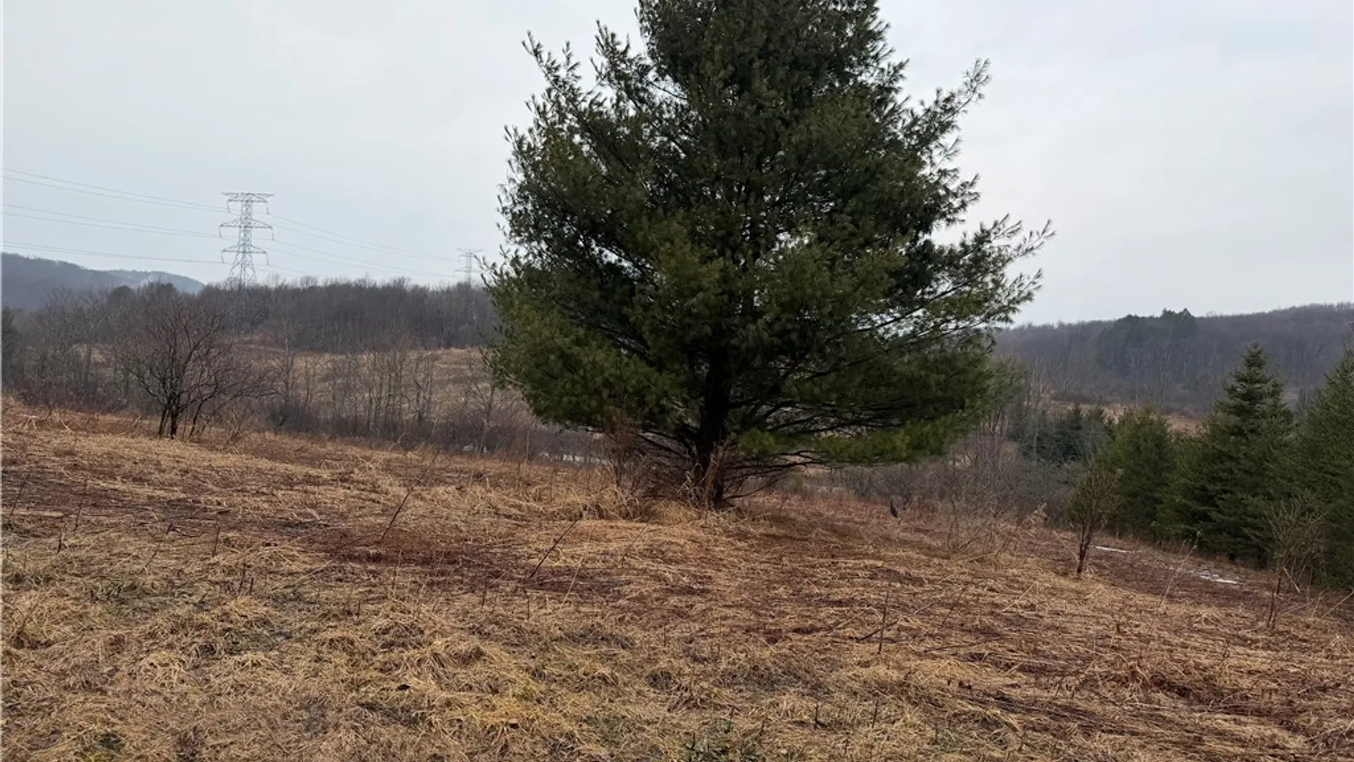 Property at 0 Co Hwy 16, Burlington, NY 13315 9