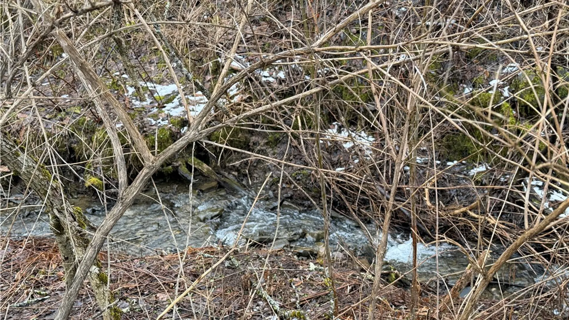 Property at 0 Co Hwy 16, Burlington, NY 13315 4