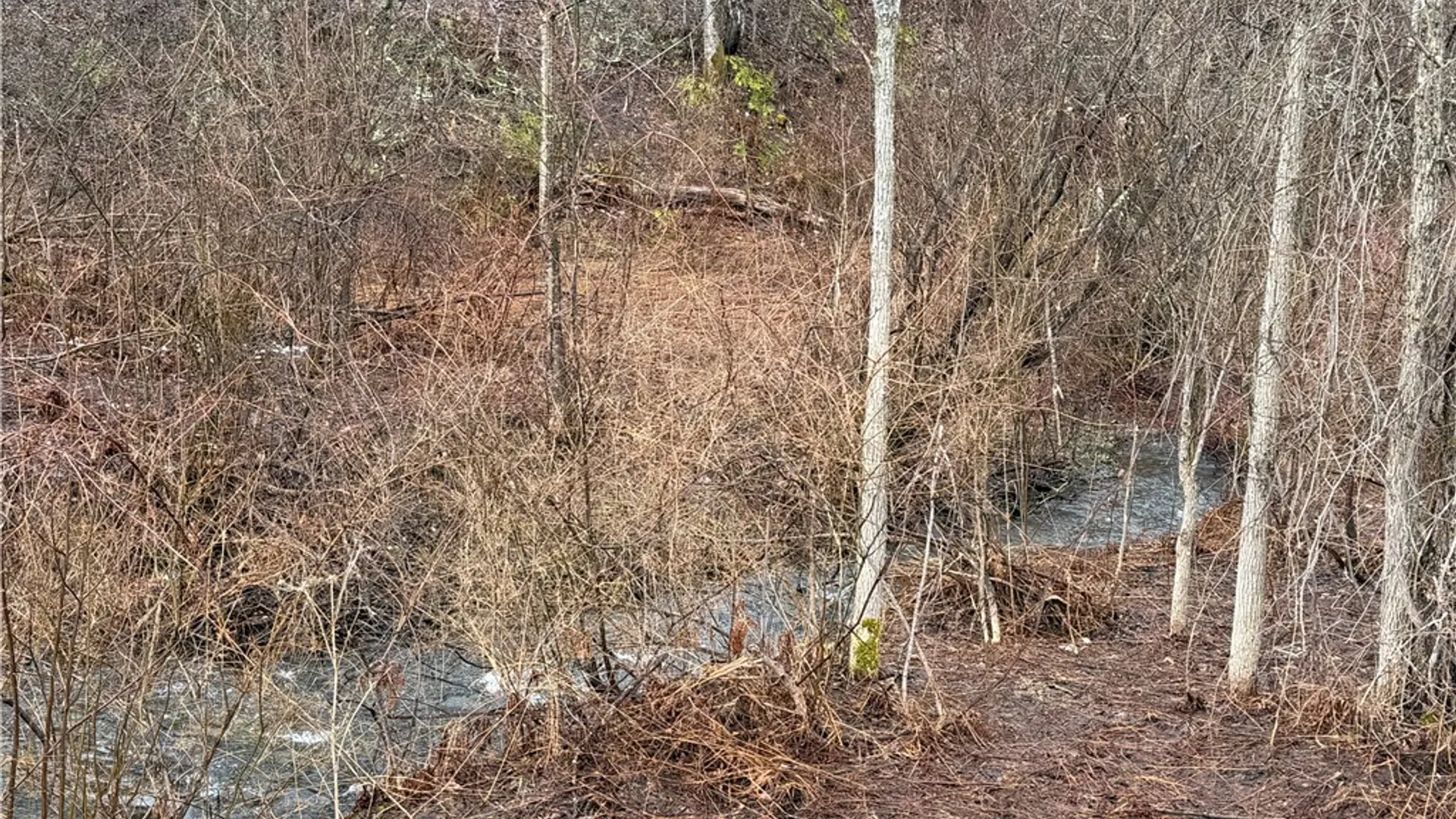 Property at 0 Co Hwy 16, Burlington, NY 13315 5