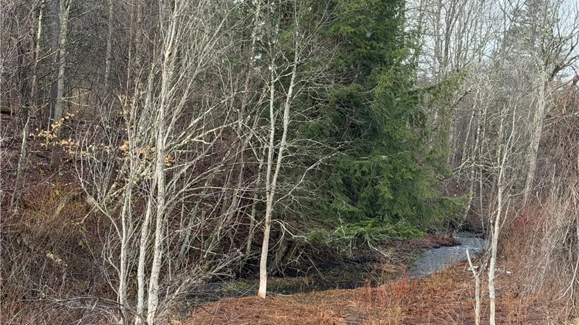 Property at 0 Co Hwy 16, Burlington, NY 13315 6