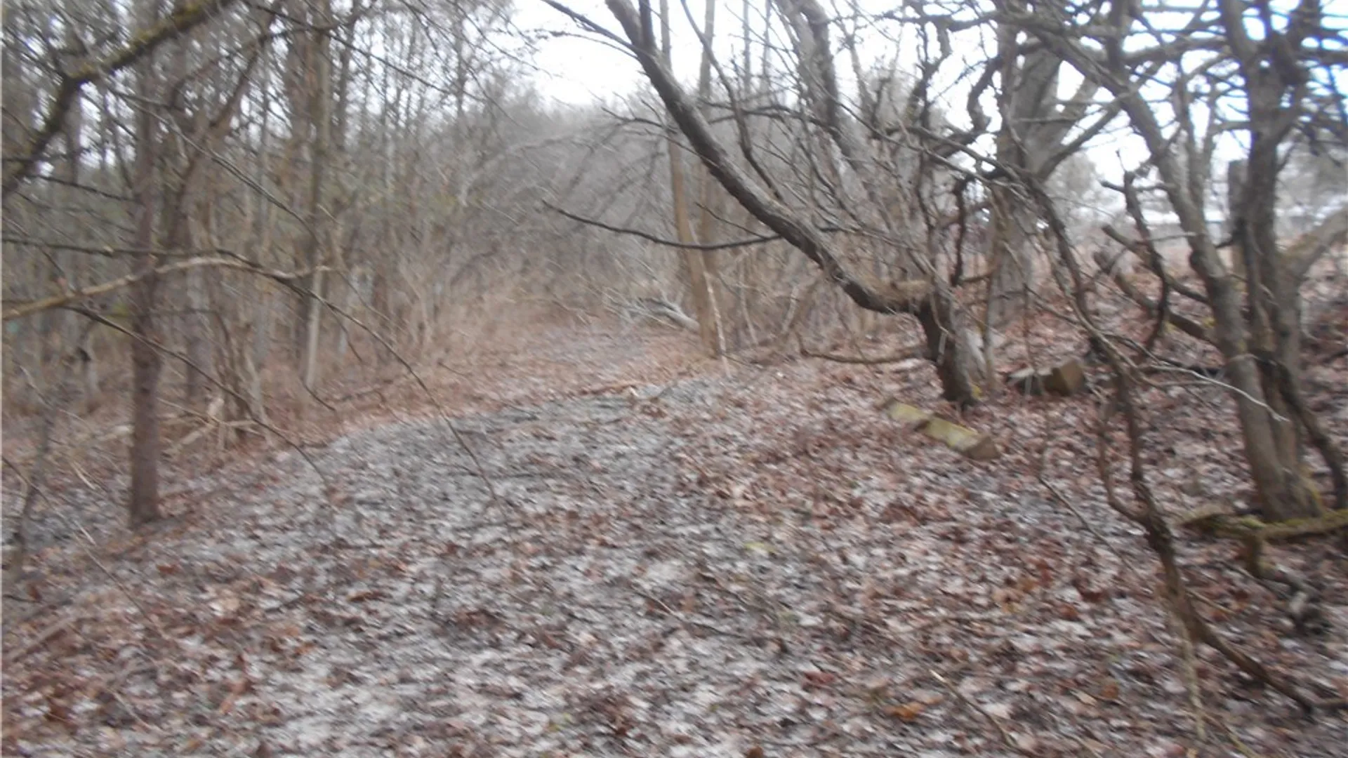 Property at 0 Route 39, Pike, NY 14066 22