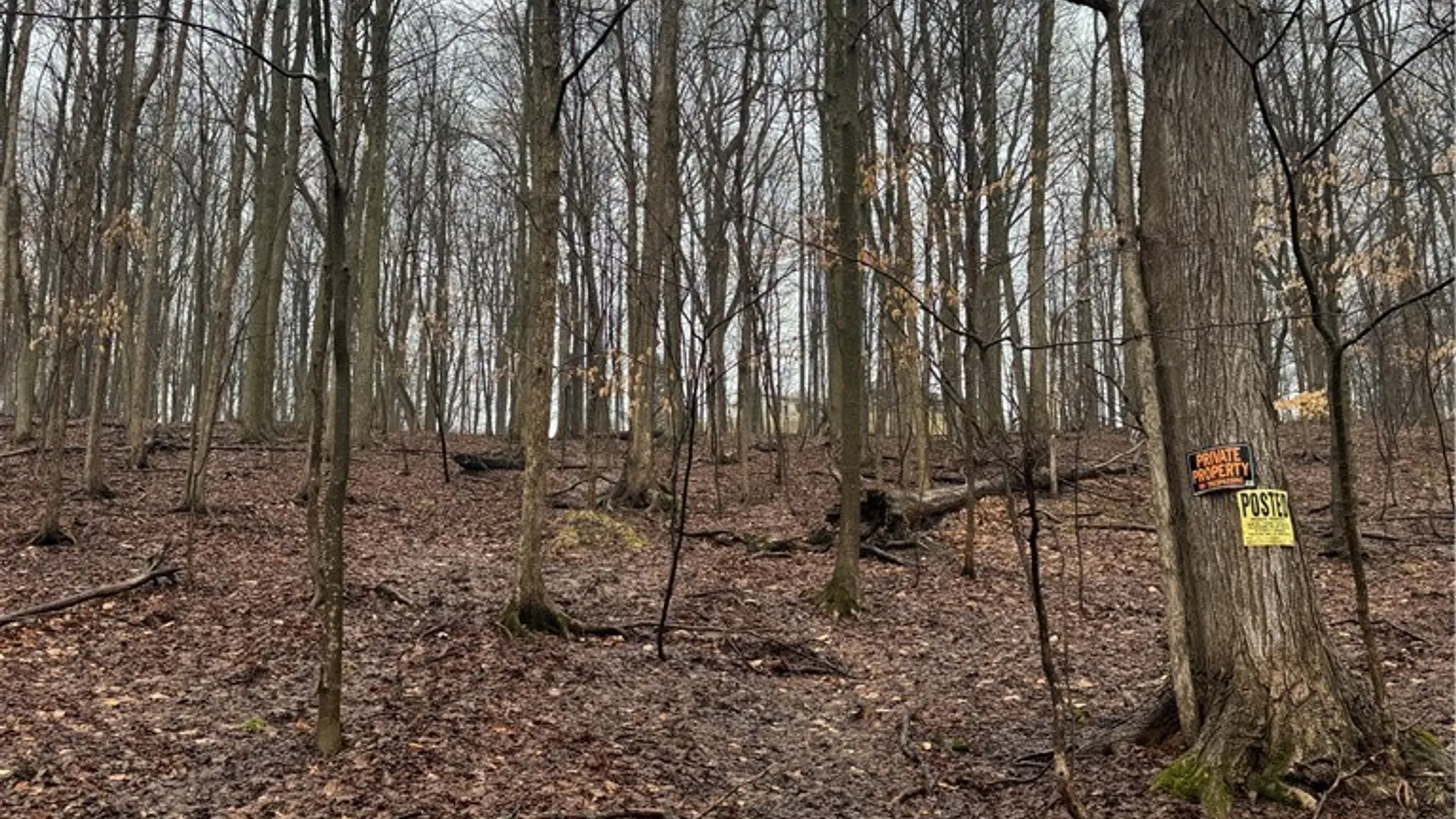 Property at Nob Road, Utica, NY 13501 4
