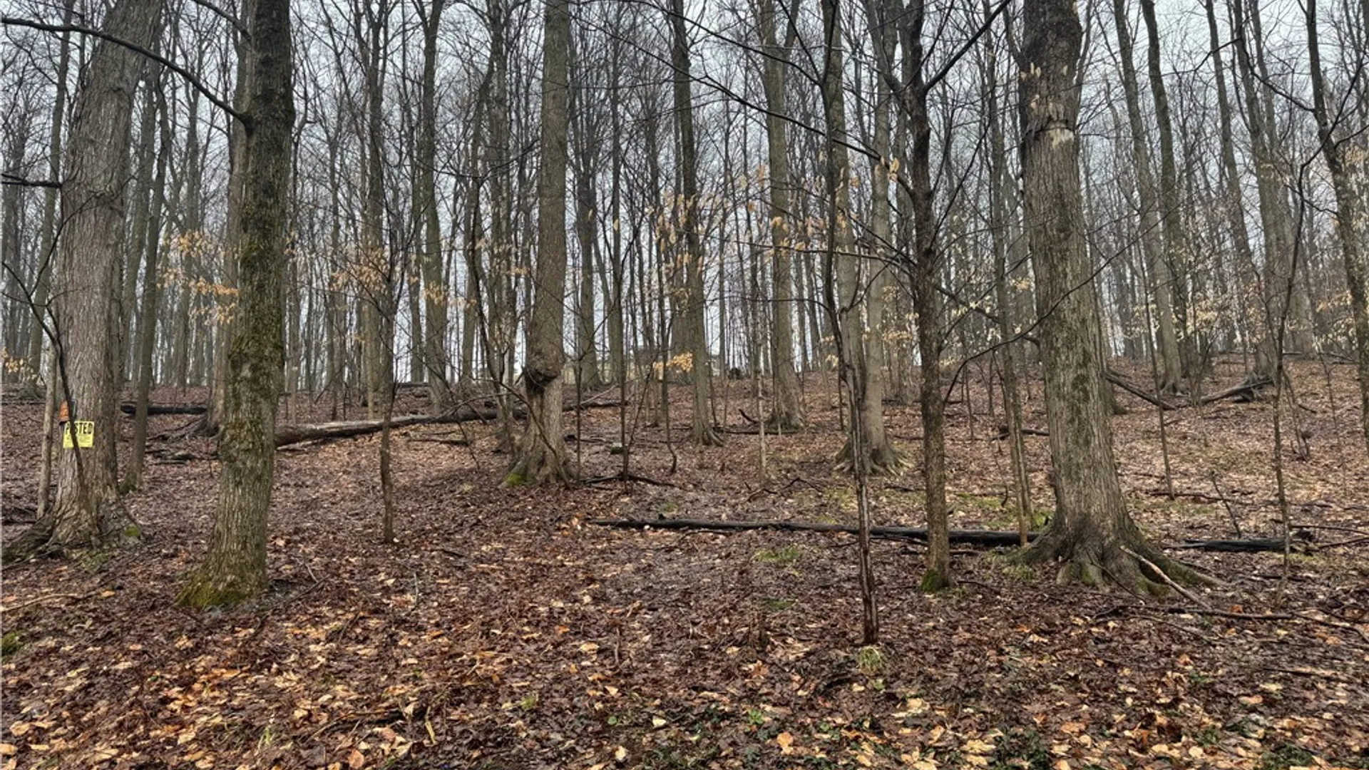 Property at Nob Road, Utica, NY 13501 2