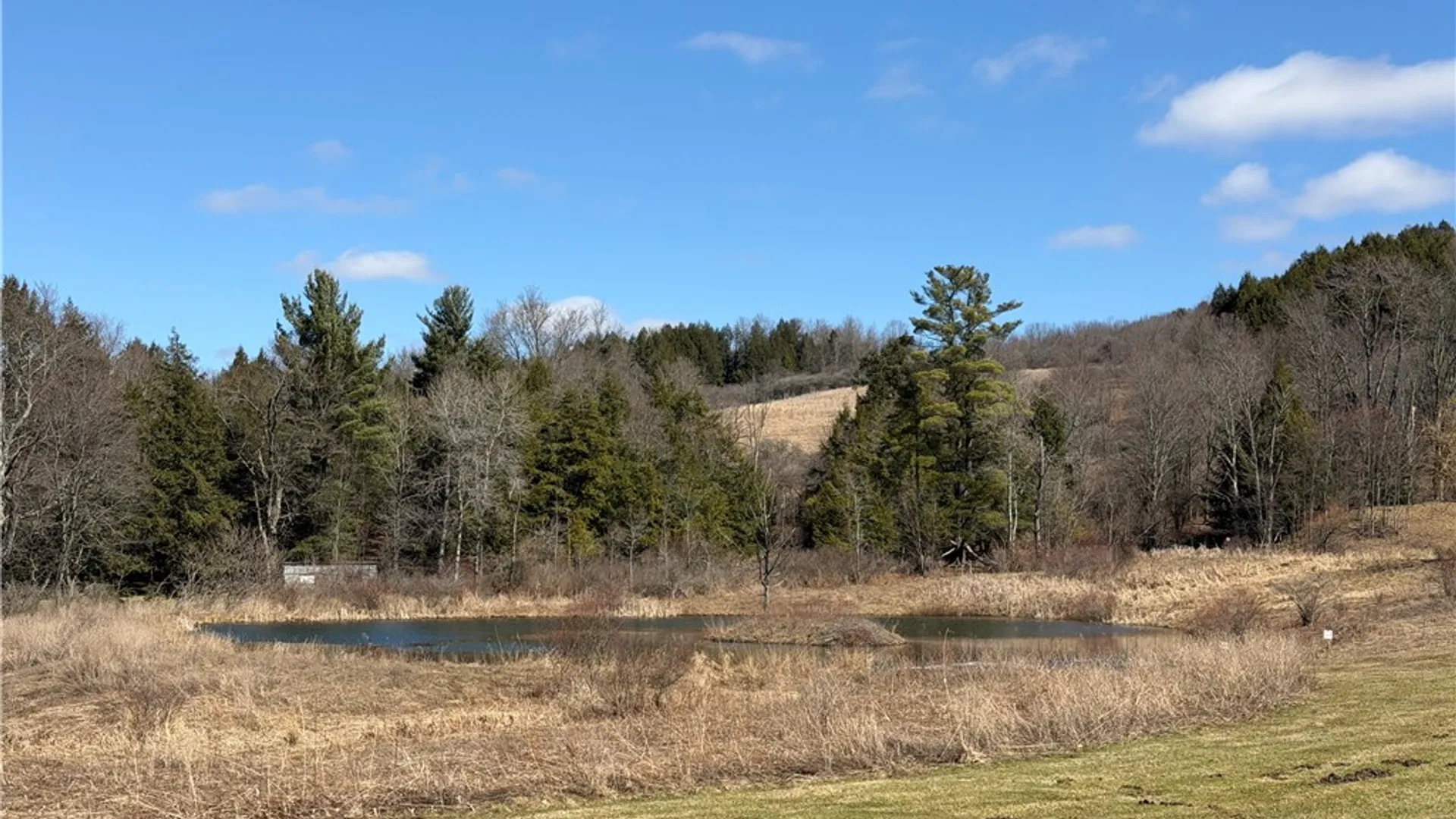 Property at 186 Bates Wilson Road, Plymouth, NY 13844 38