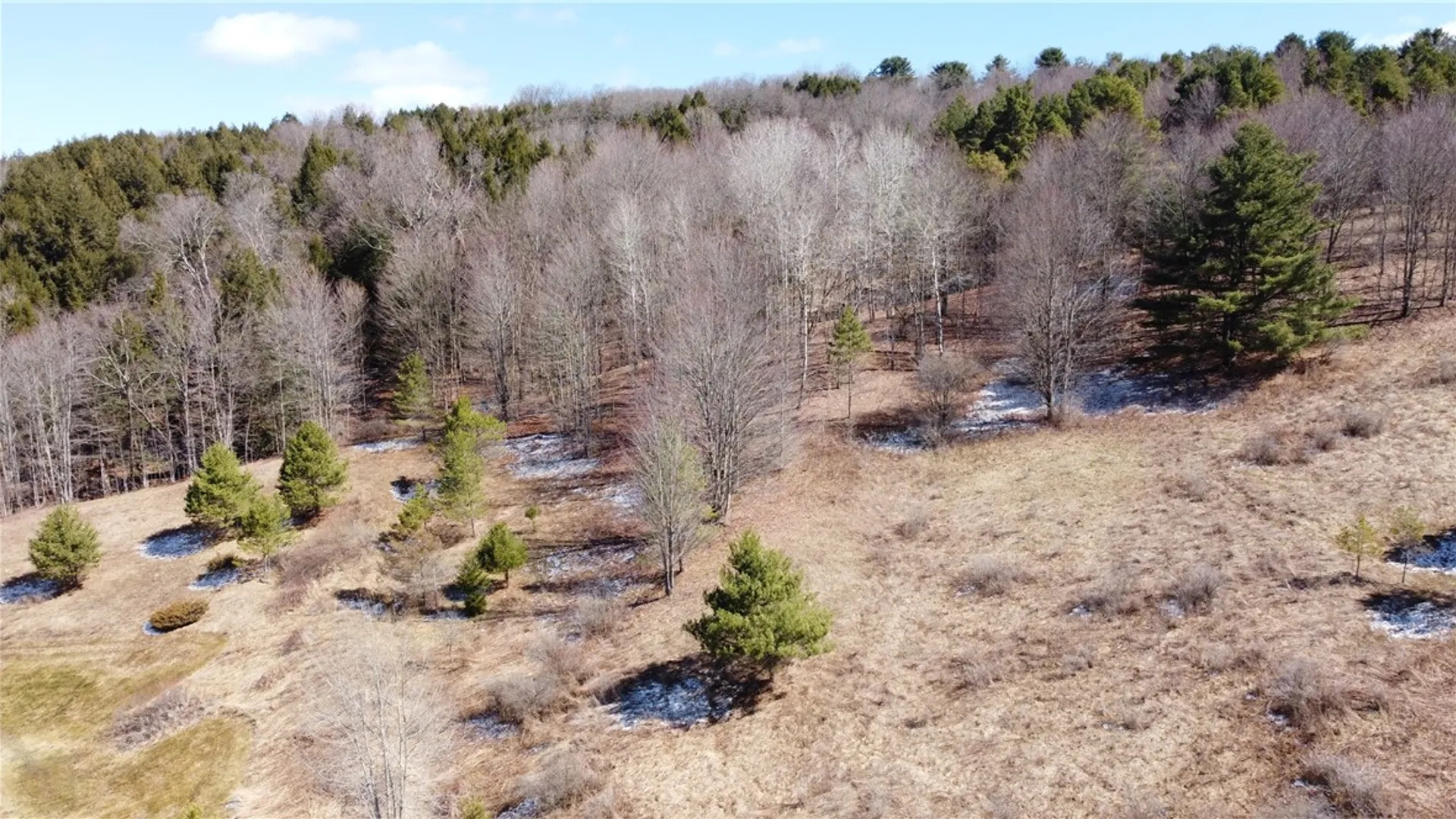 Property at 186 Bates Wilson Road, Plymouth, NY 13844 47