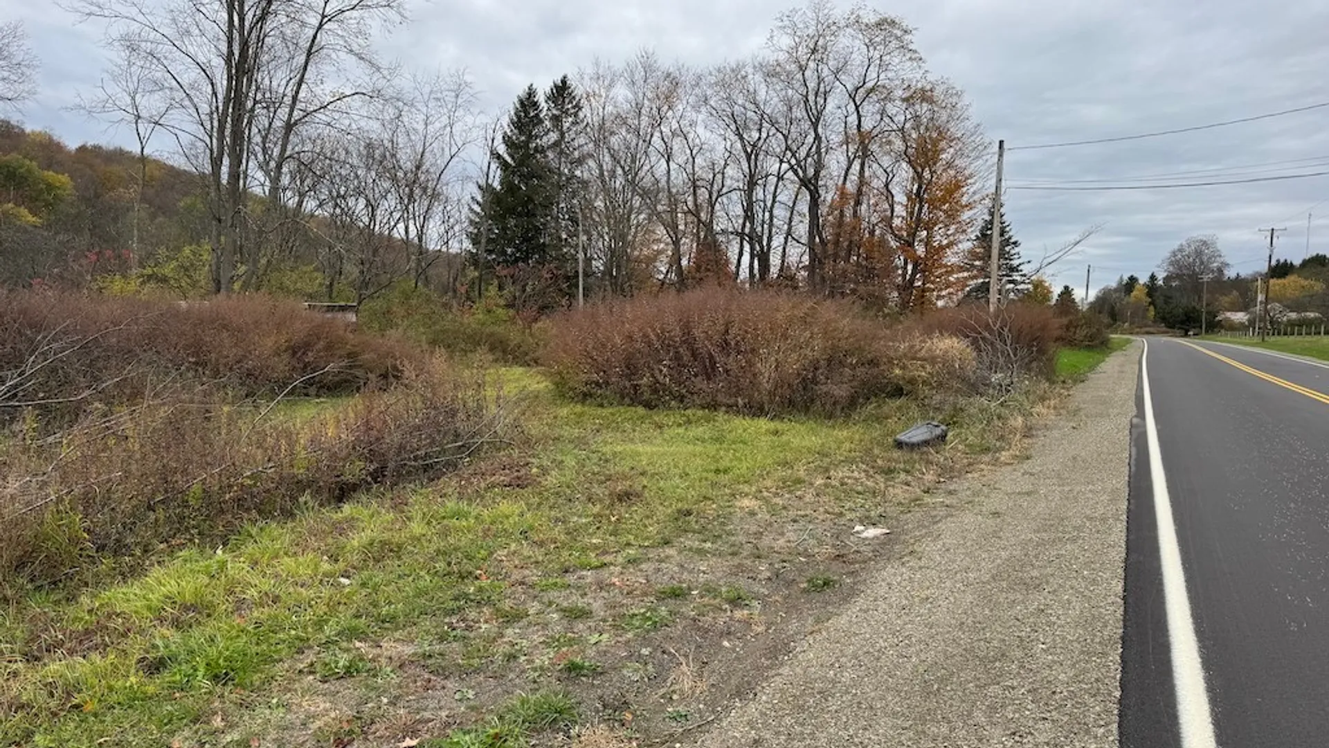 Property at 9337 New Albion Road, New Albion, NY 14719 6