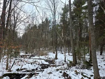 Property at Syler Road, Orangeville, NY 14569