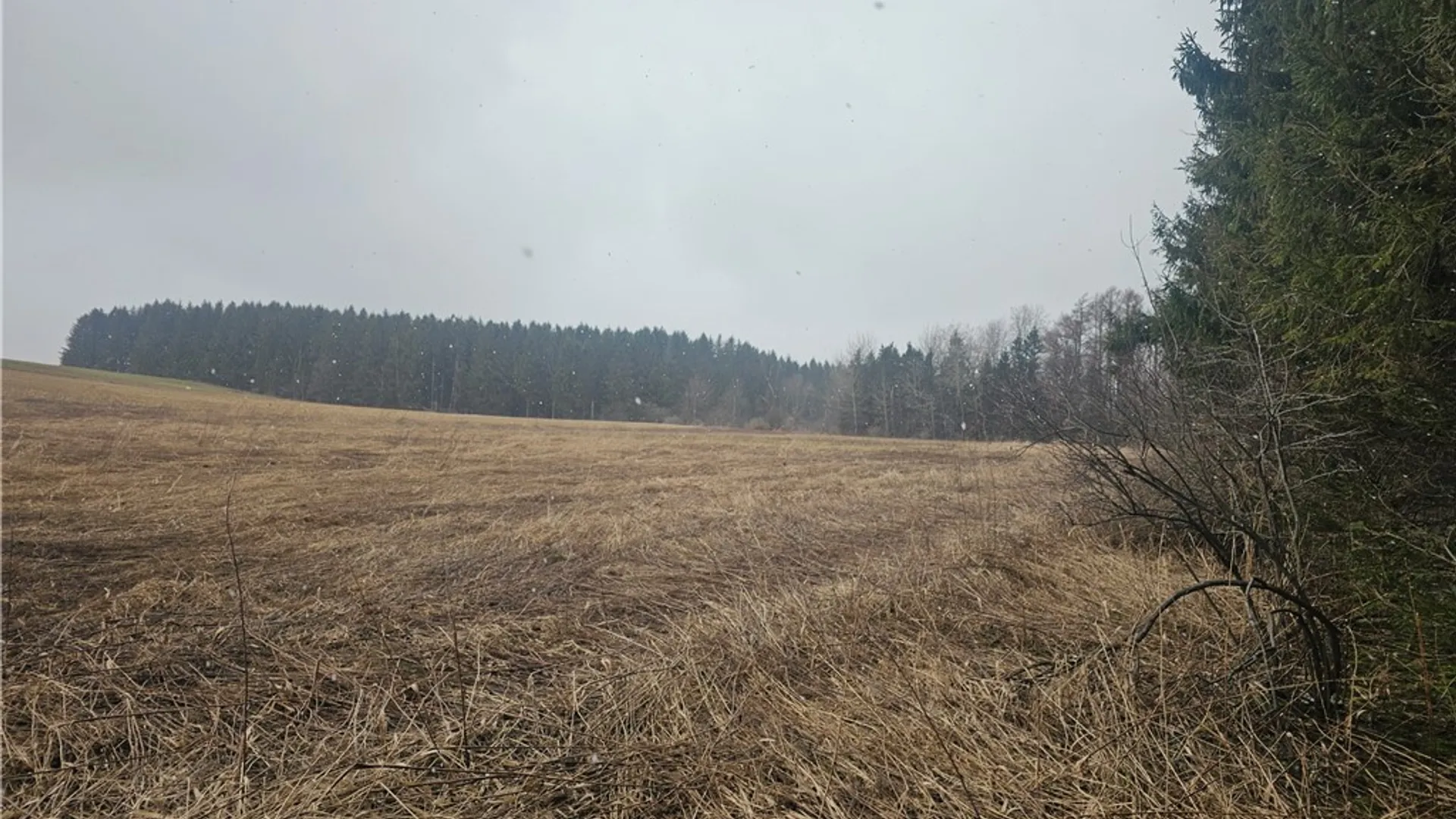 Property at Engdahl Road, Charlotte, NY 14782 38