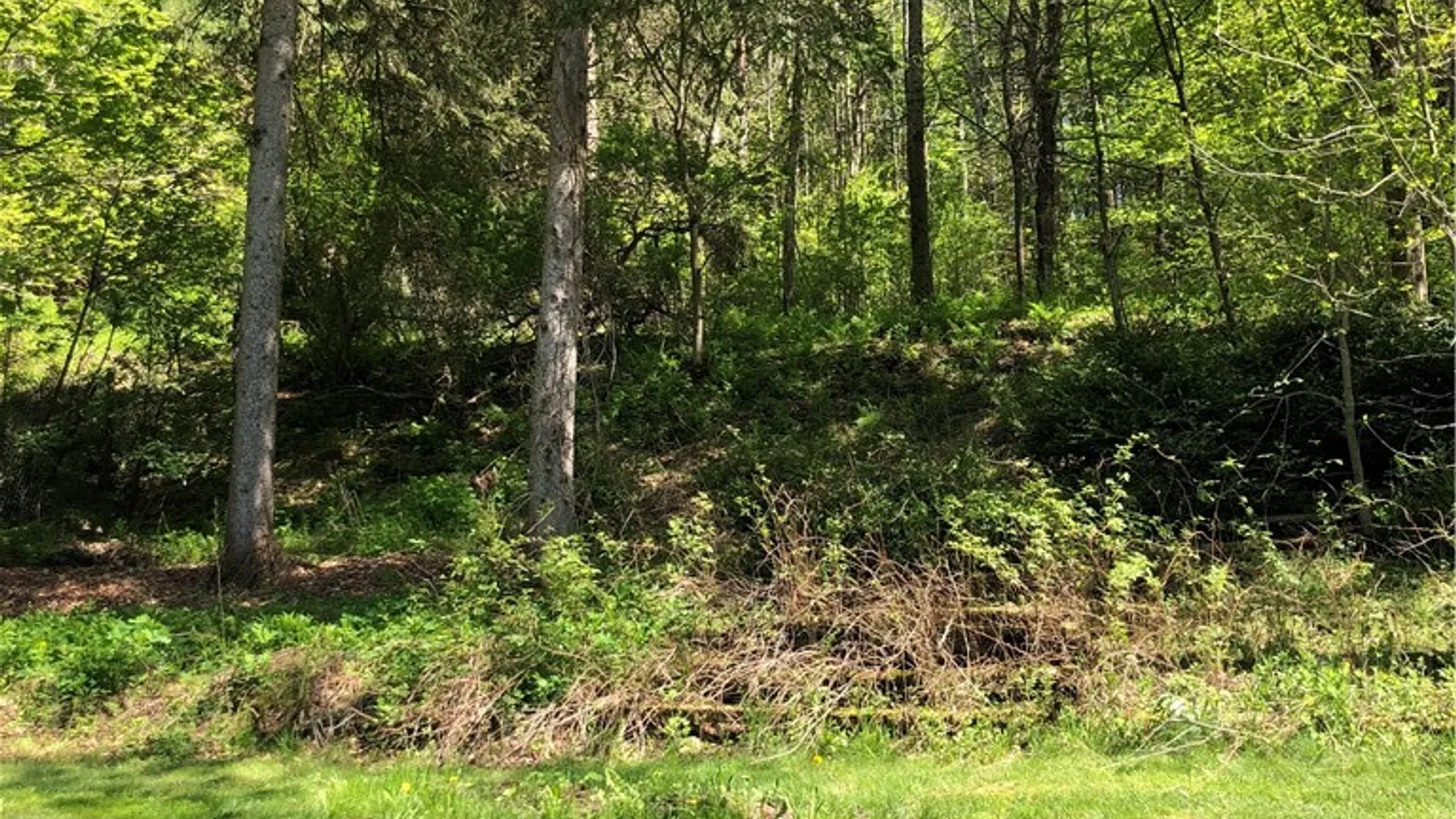 Property at 816 Main Street, Franklin, NY 13775 43