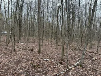 Property at Donnerville Road, Russell, NY 13684
