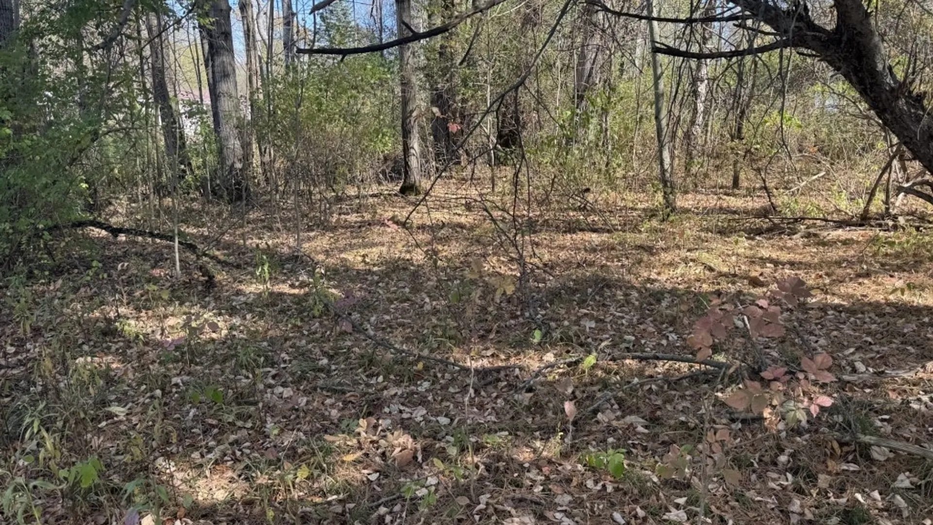 Property at 4755 Fay Hollow Road, Humphrey, NY 14741 4
